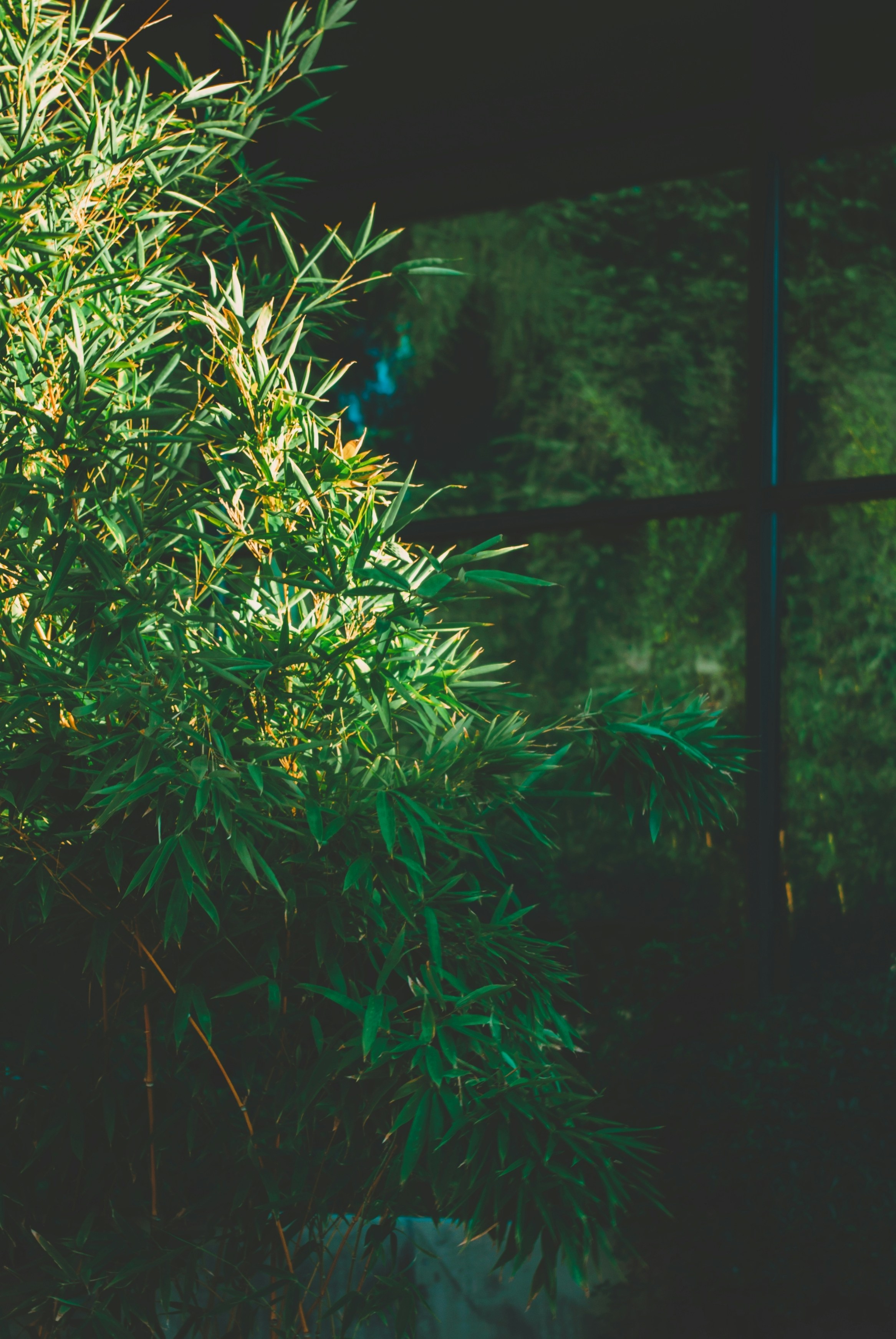 Photo by moonmoons_days