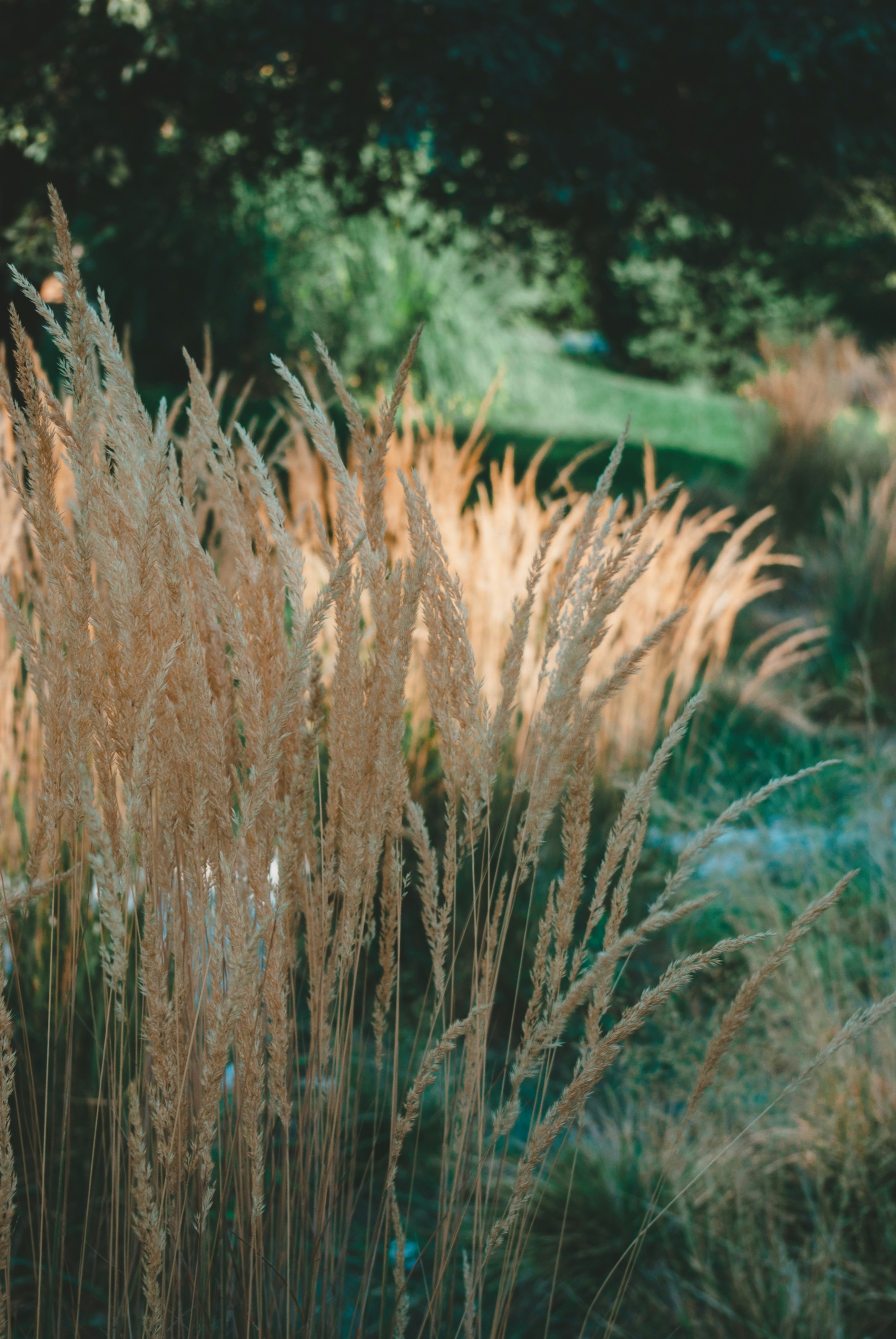 Photo by moonmoons_days