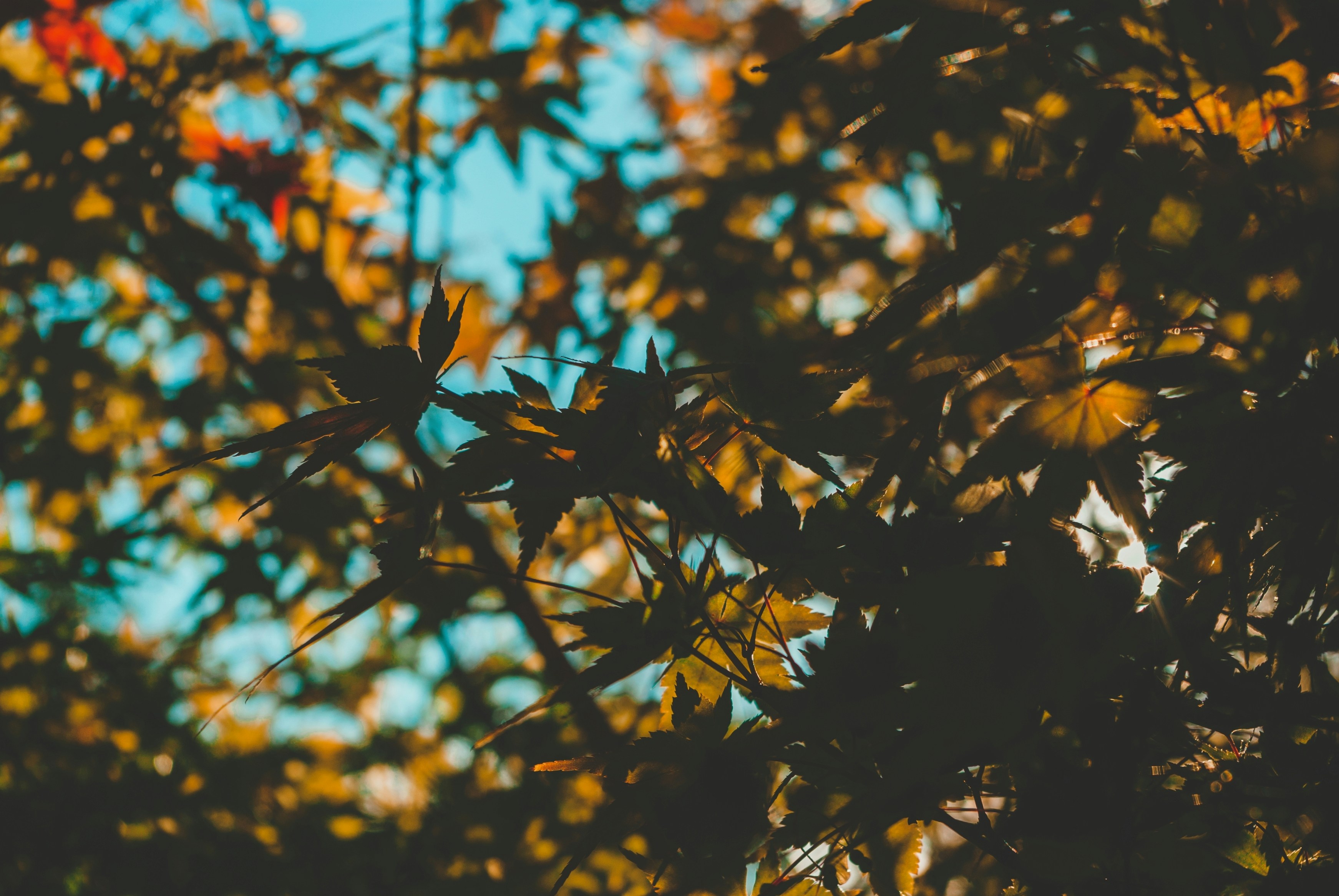 Photo by moonmoons_days