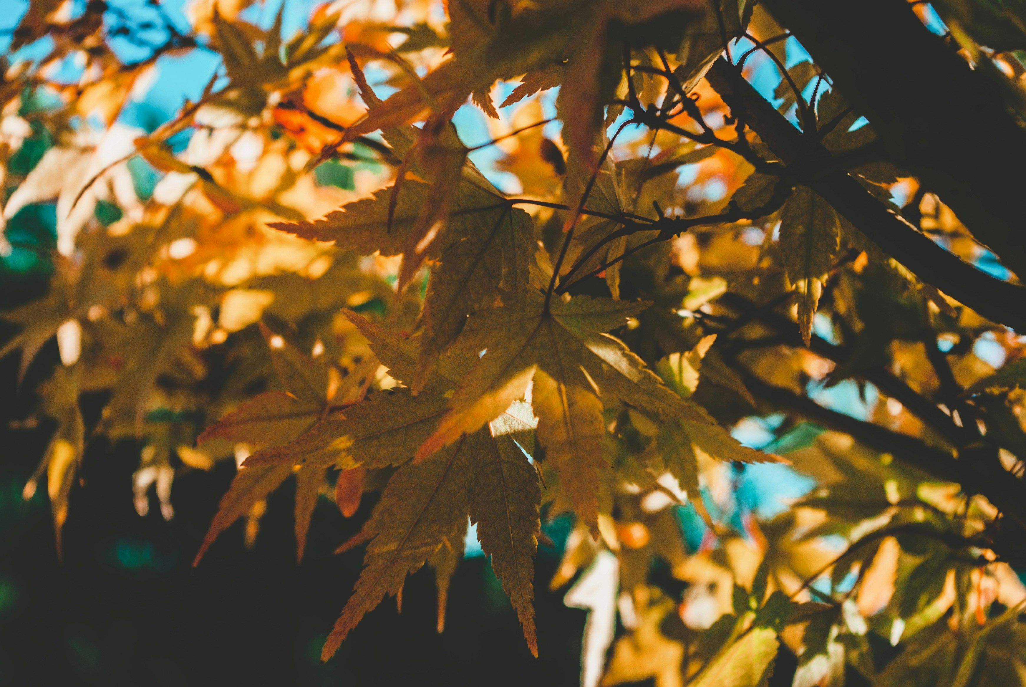 Photo by moonmoons_days