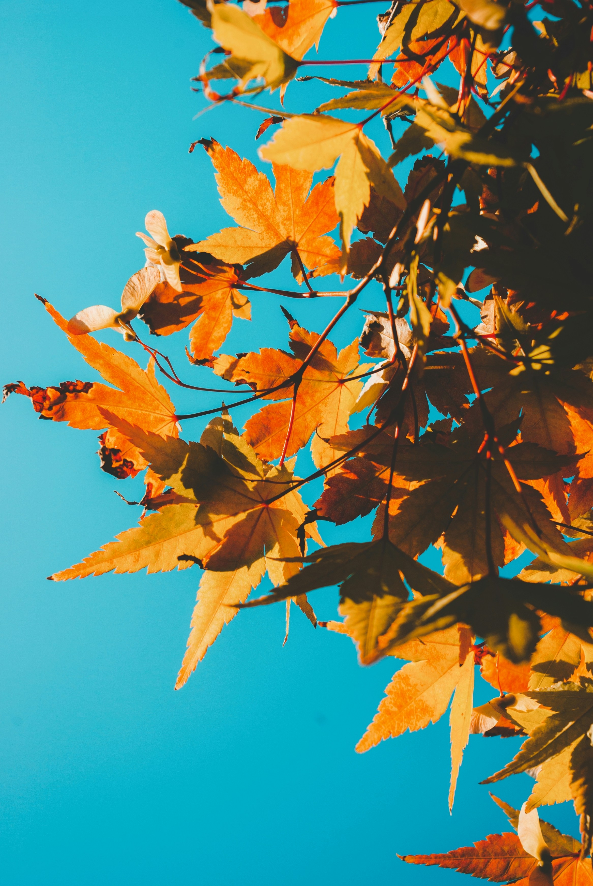 Photo by moonmoons_days