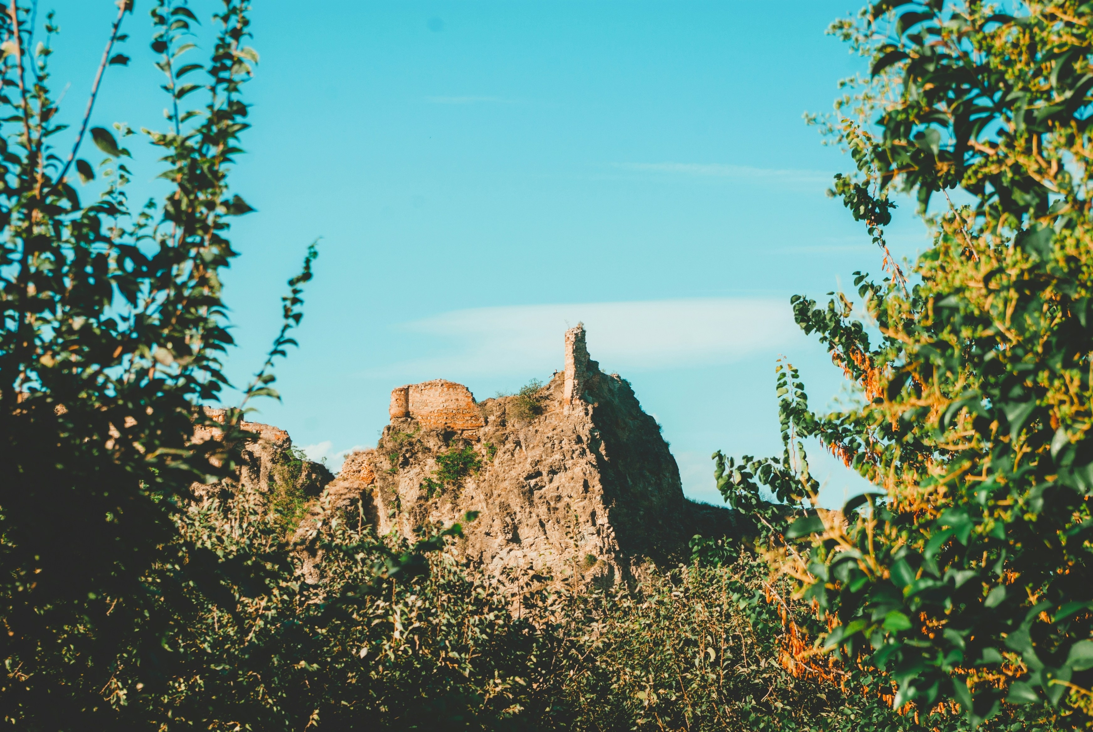 Photo by moonmoons_days