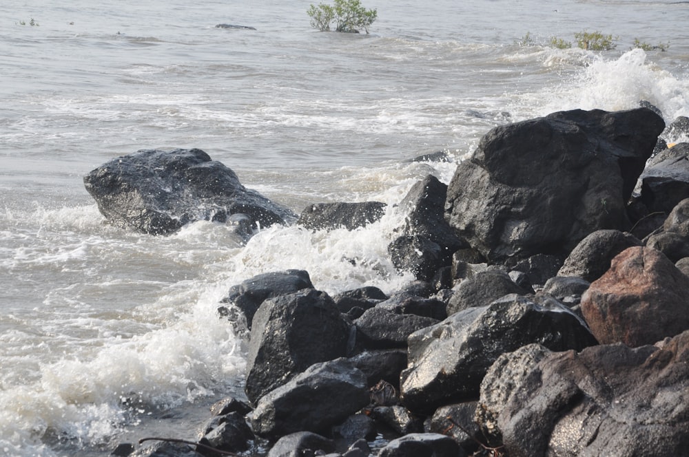 a rocky beach with waves crashing