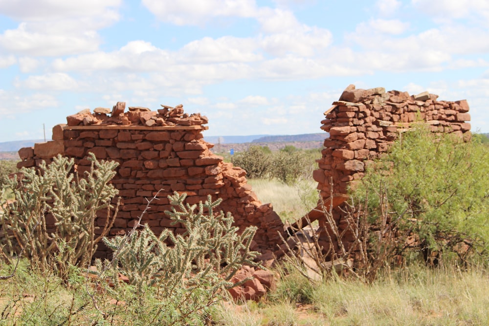 a stone wall with plants and bushes