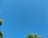 A clear blue sky occupies most of the image, with the tops of green trees visible at the bottom edges.