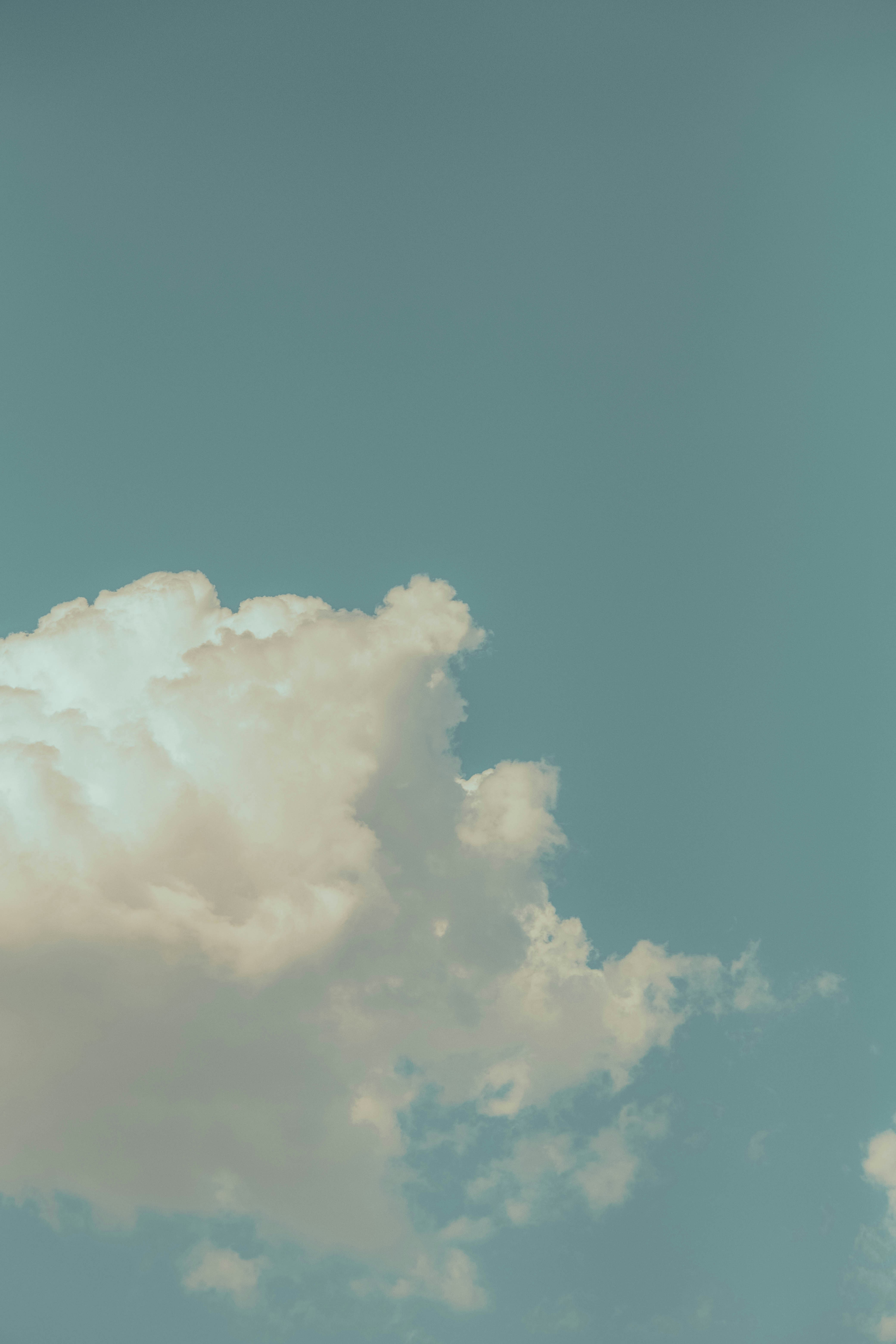 Photo by mattxfotographs