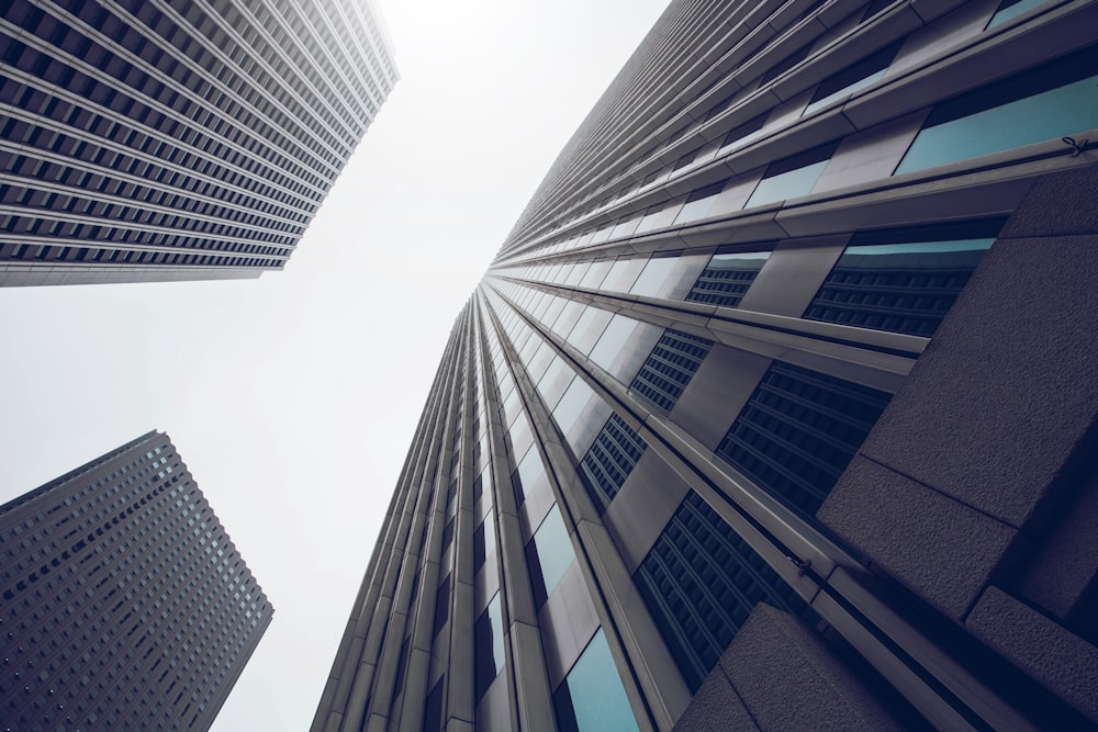 looking up at tall buildings