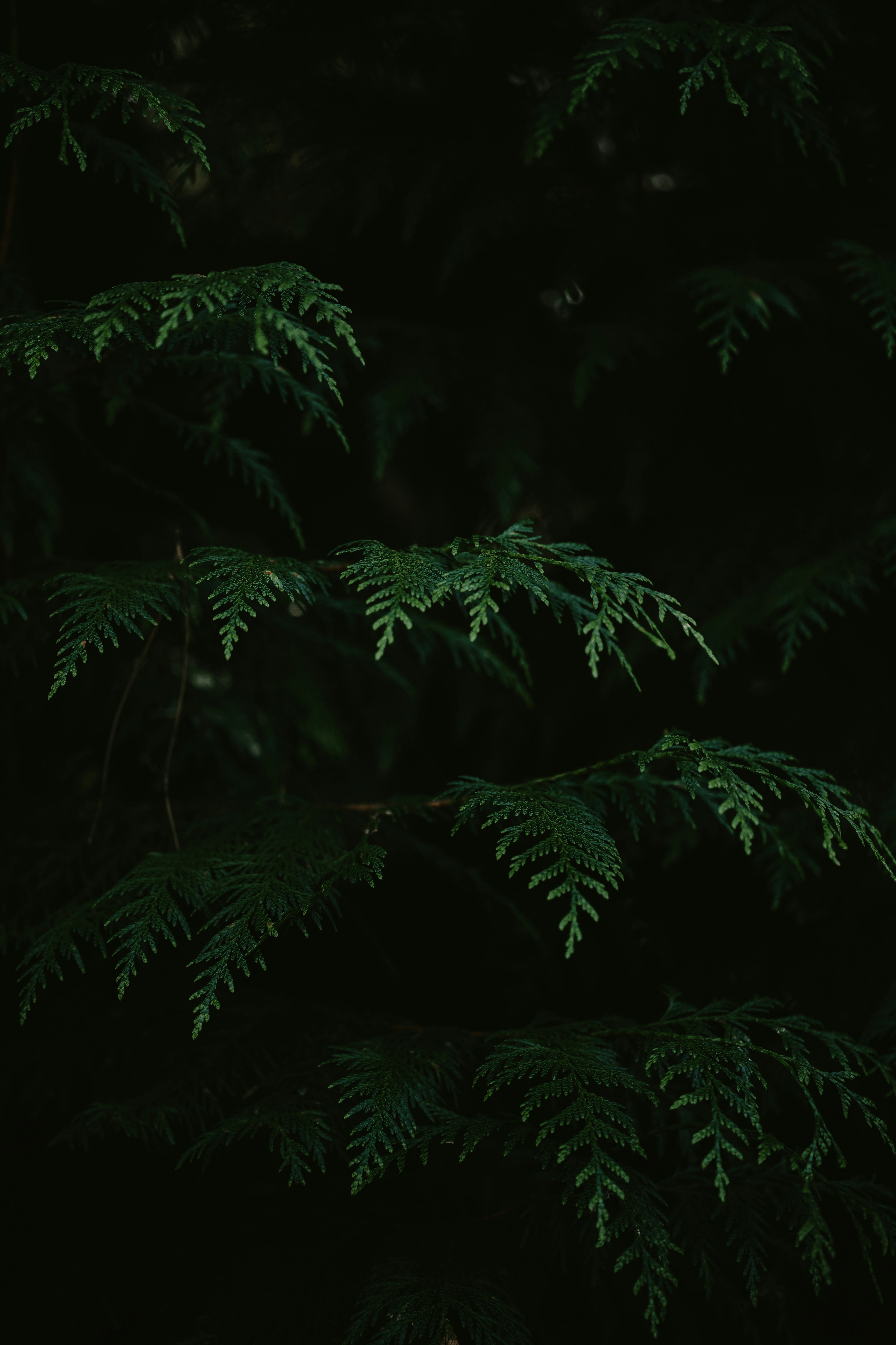 Photo by anniespratt