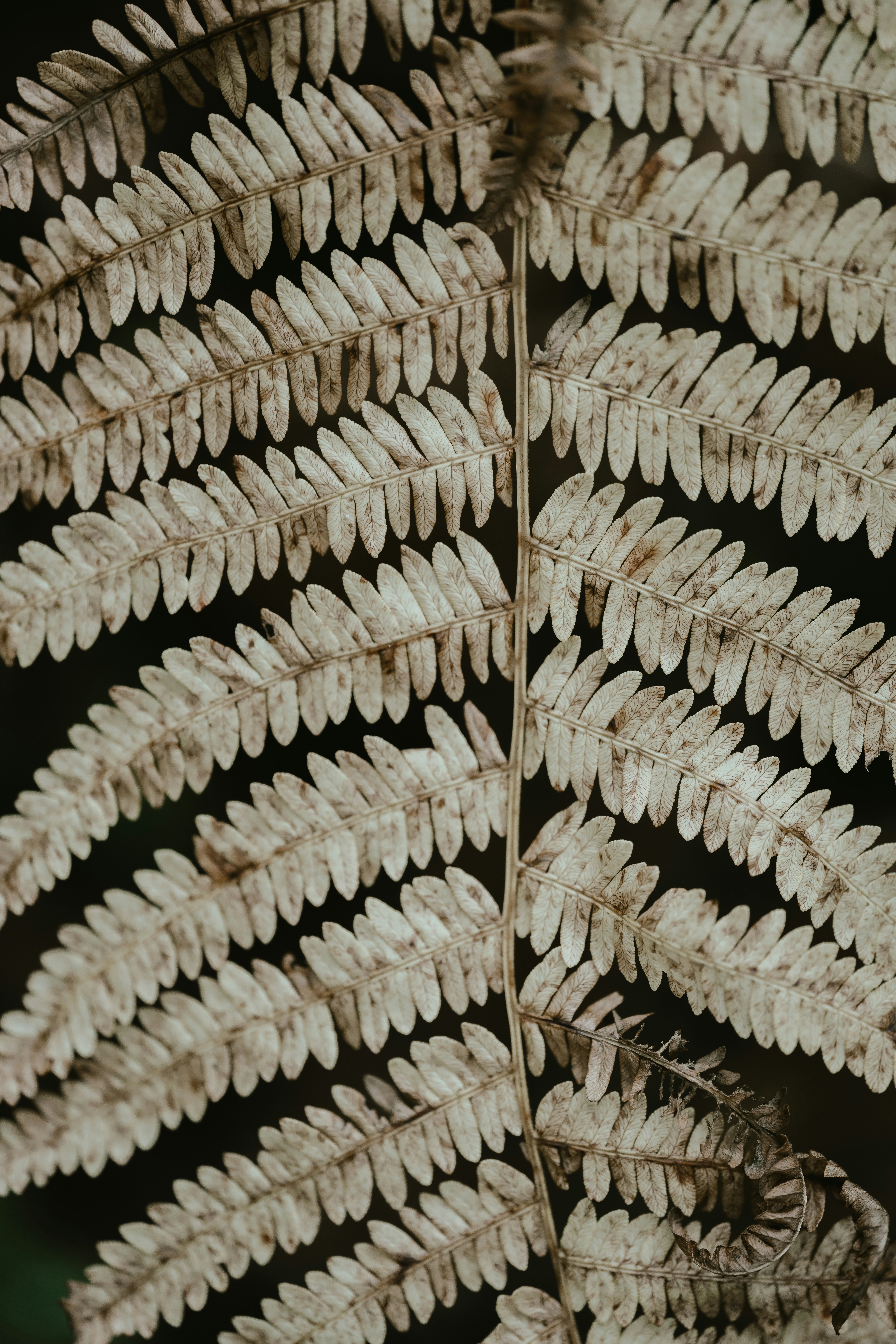 Photo by anniespratt