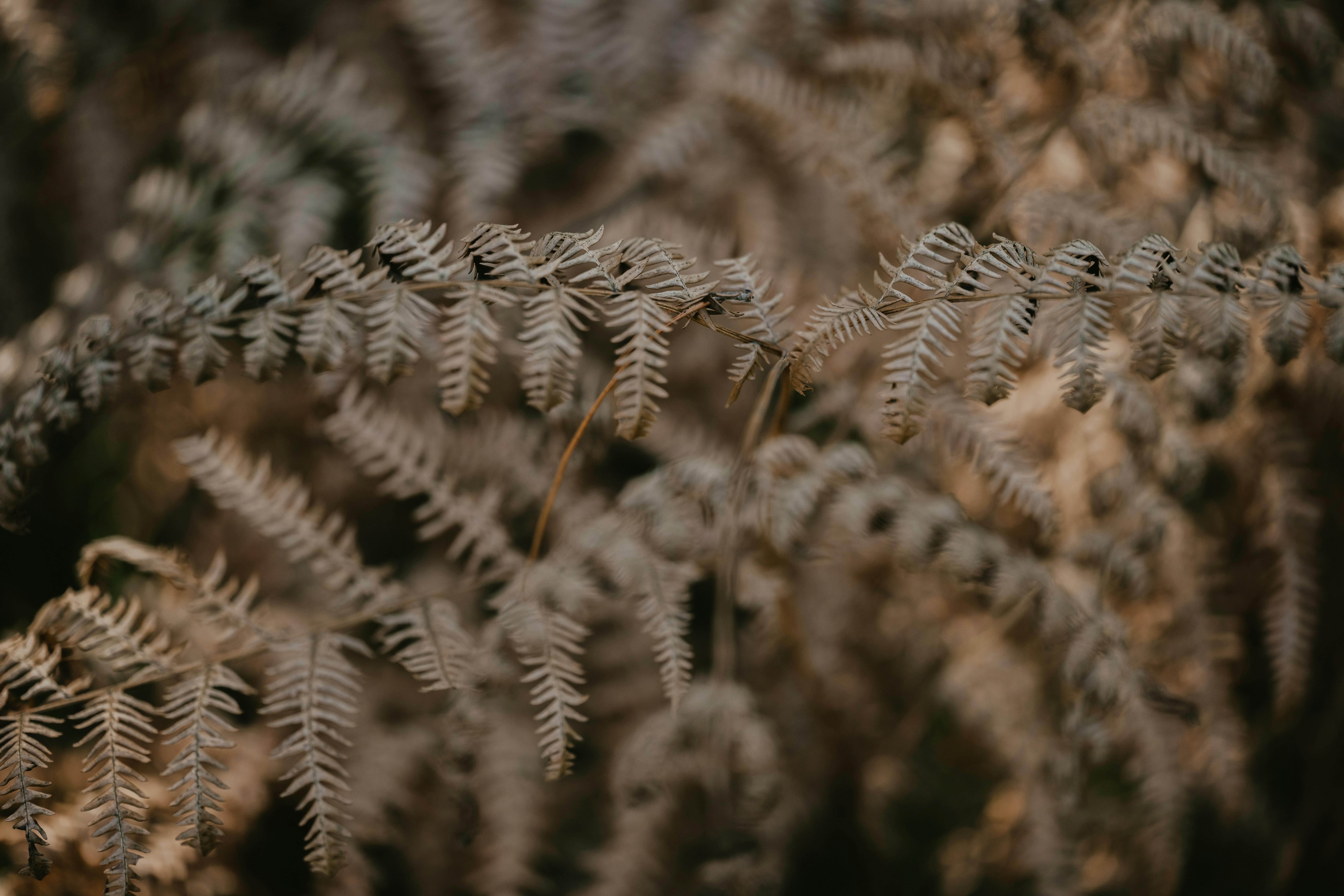 Photo by anniespratt