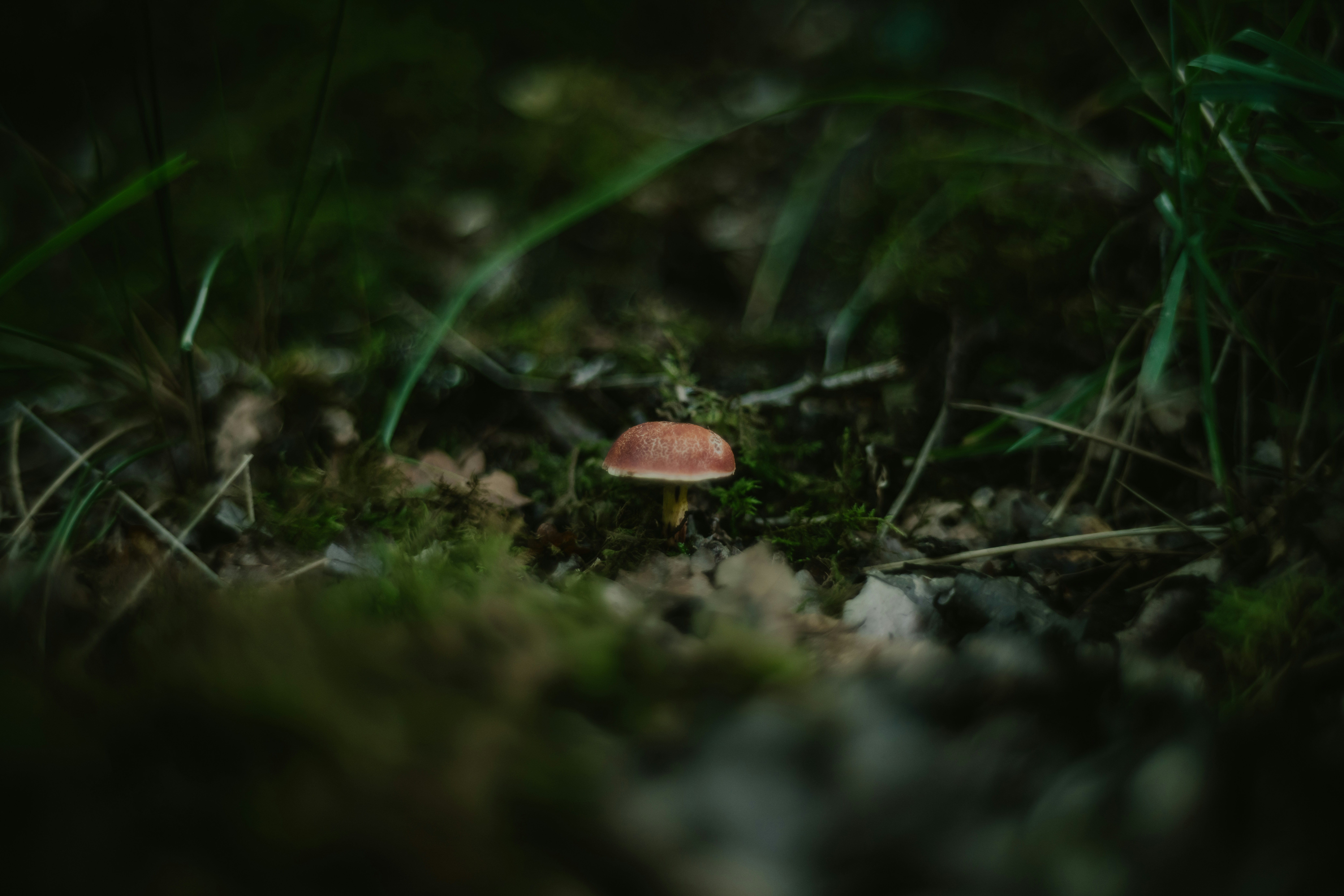 Photo by anniespratt