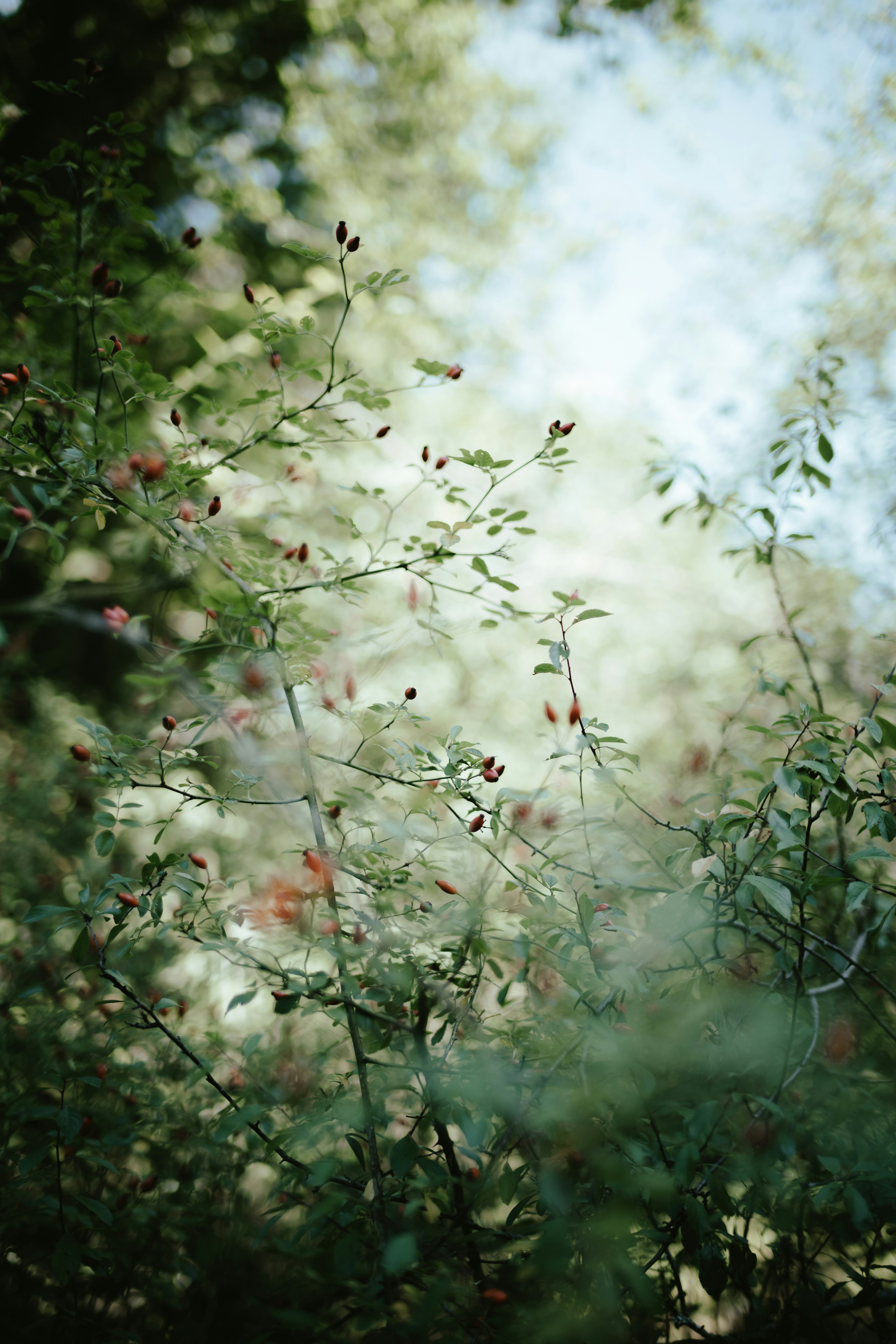 Photo by anniespratt