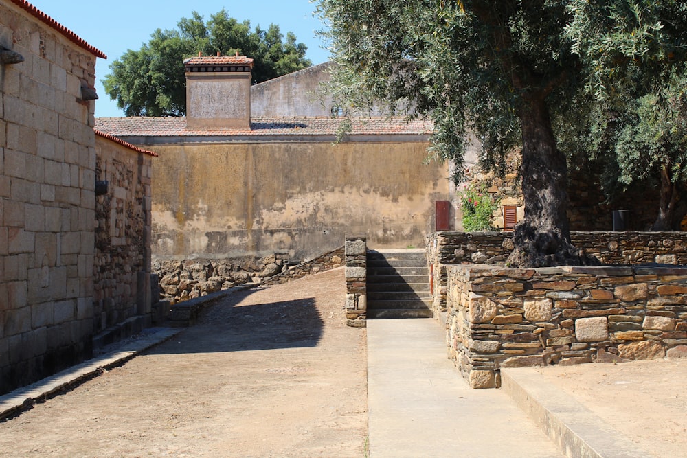 a stone walkway with a tree and a stone wall