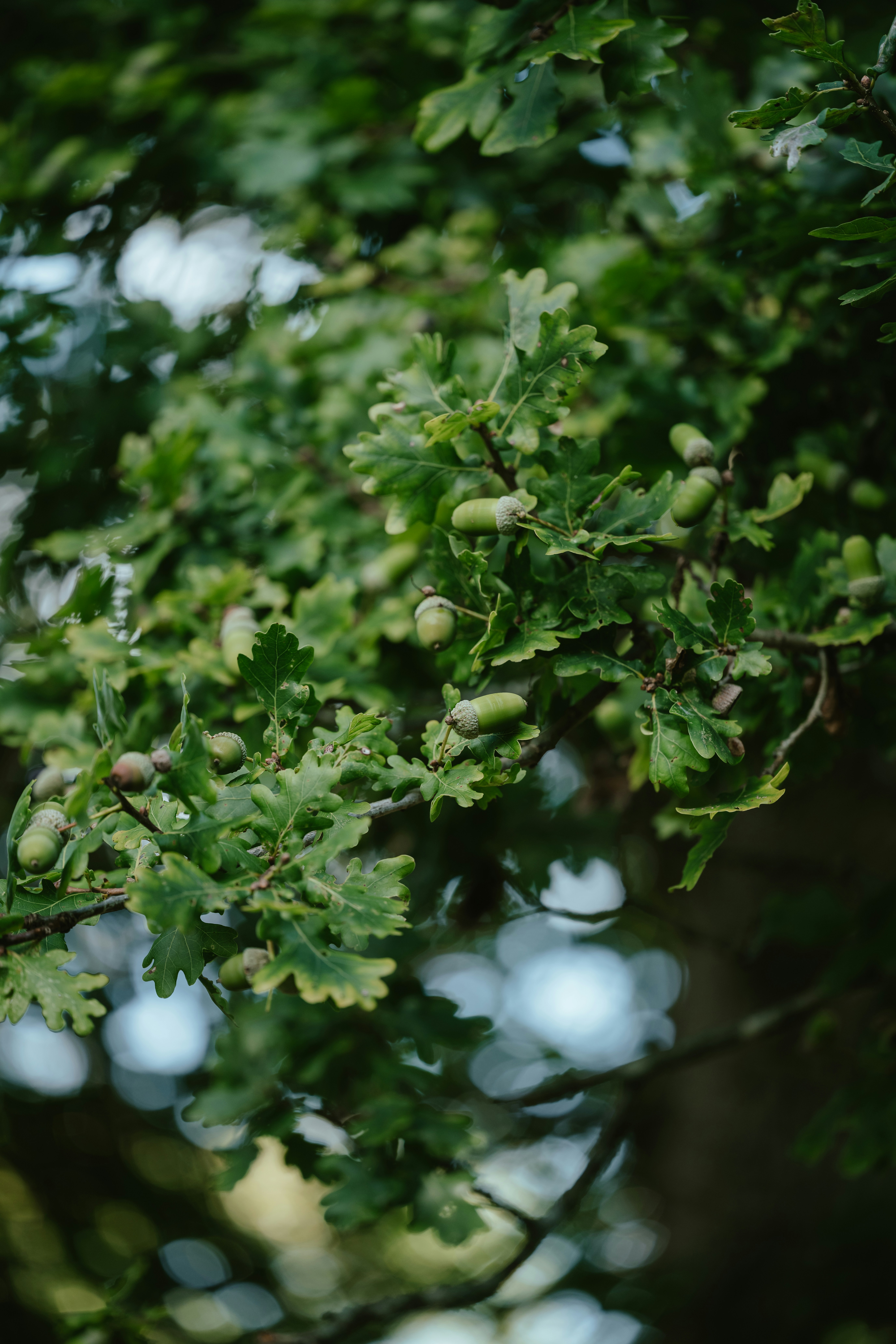 Photo by anniespratt