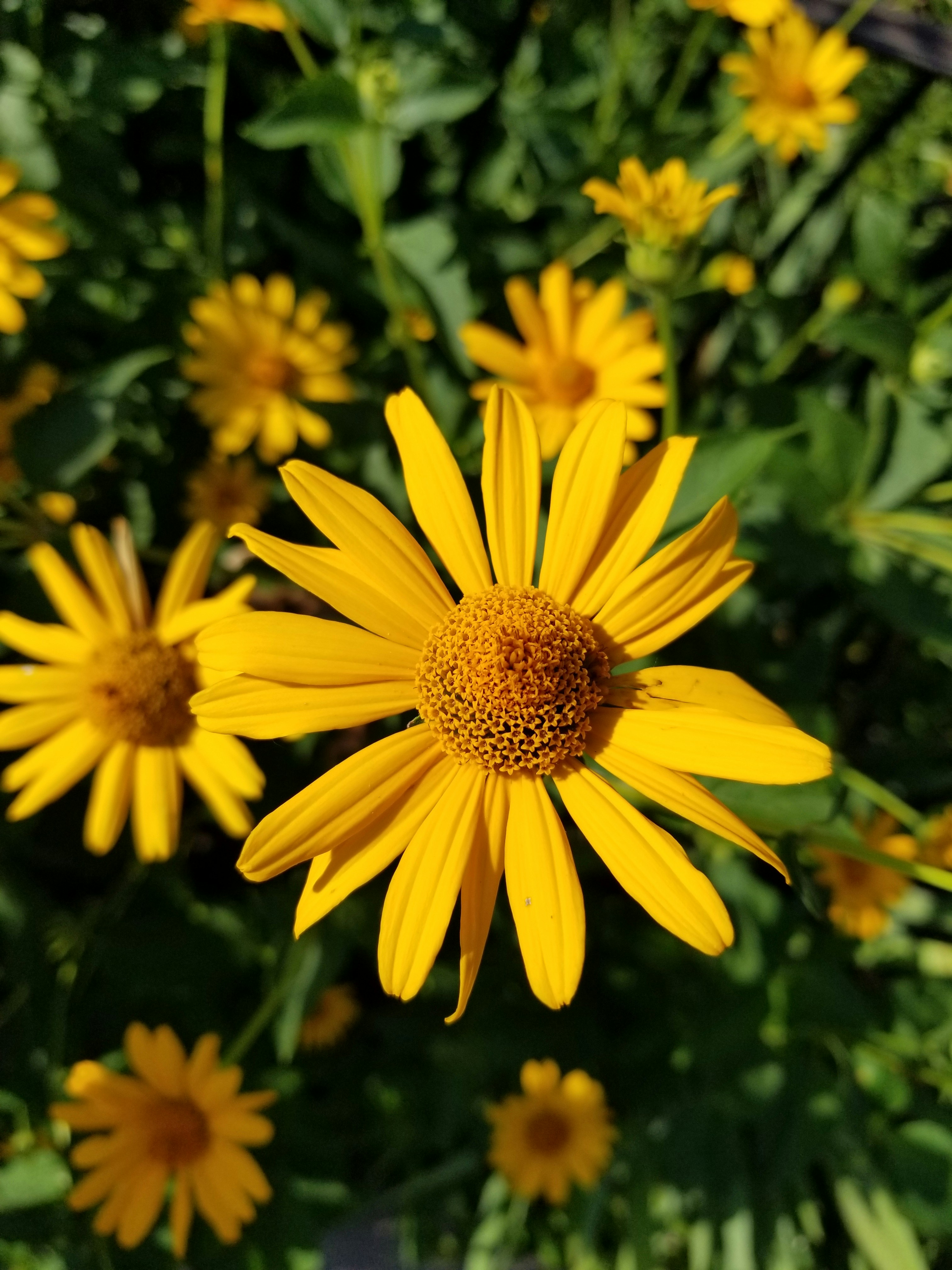 Photo by thundertiger