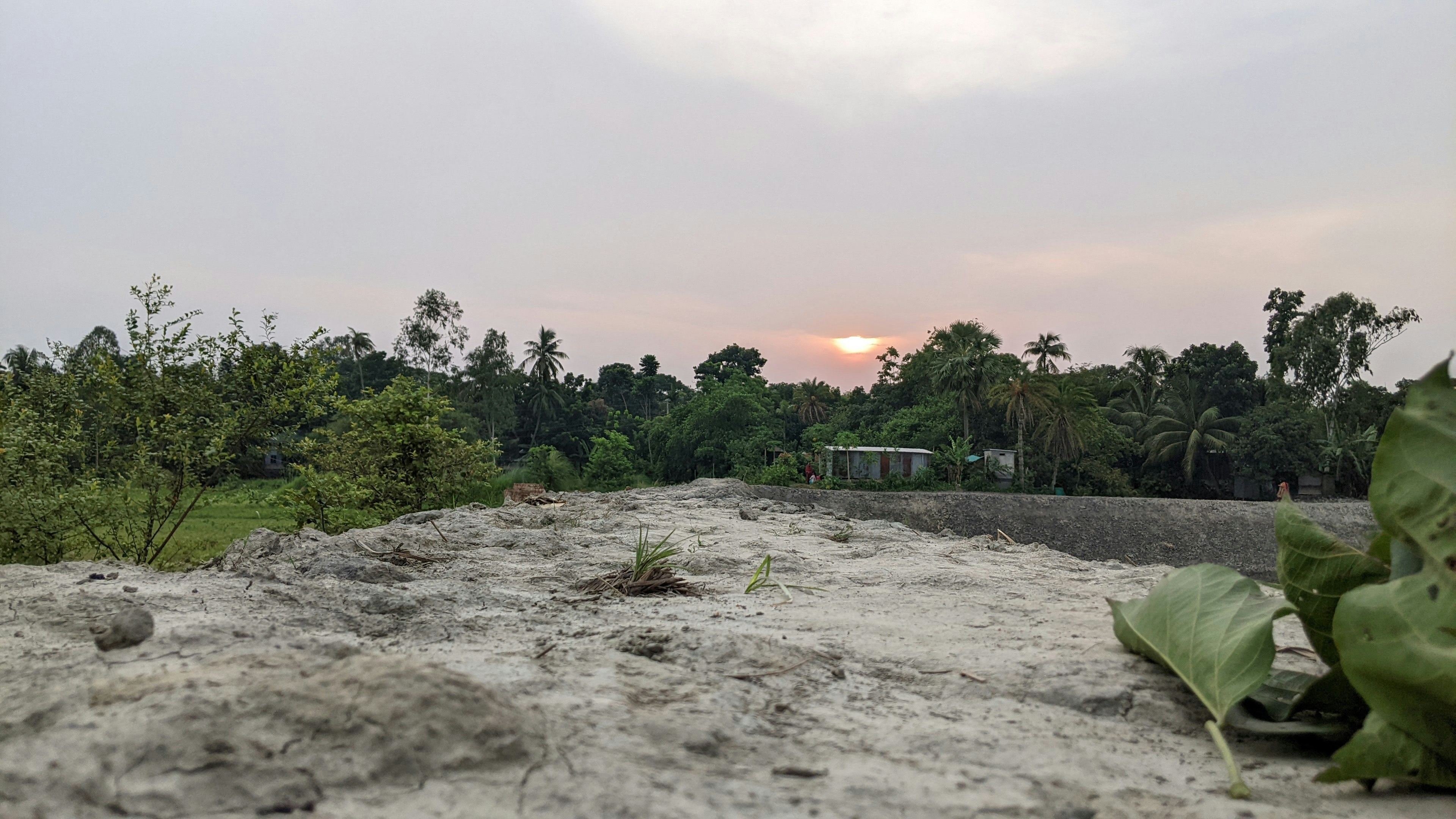 A sandy area with trees and a building in the distance photo – Free ...