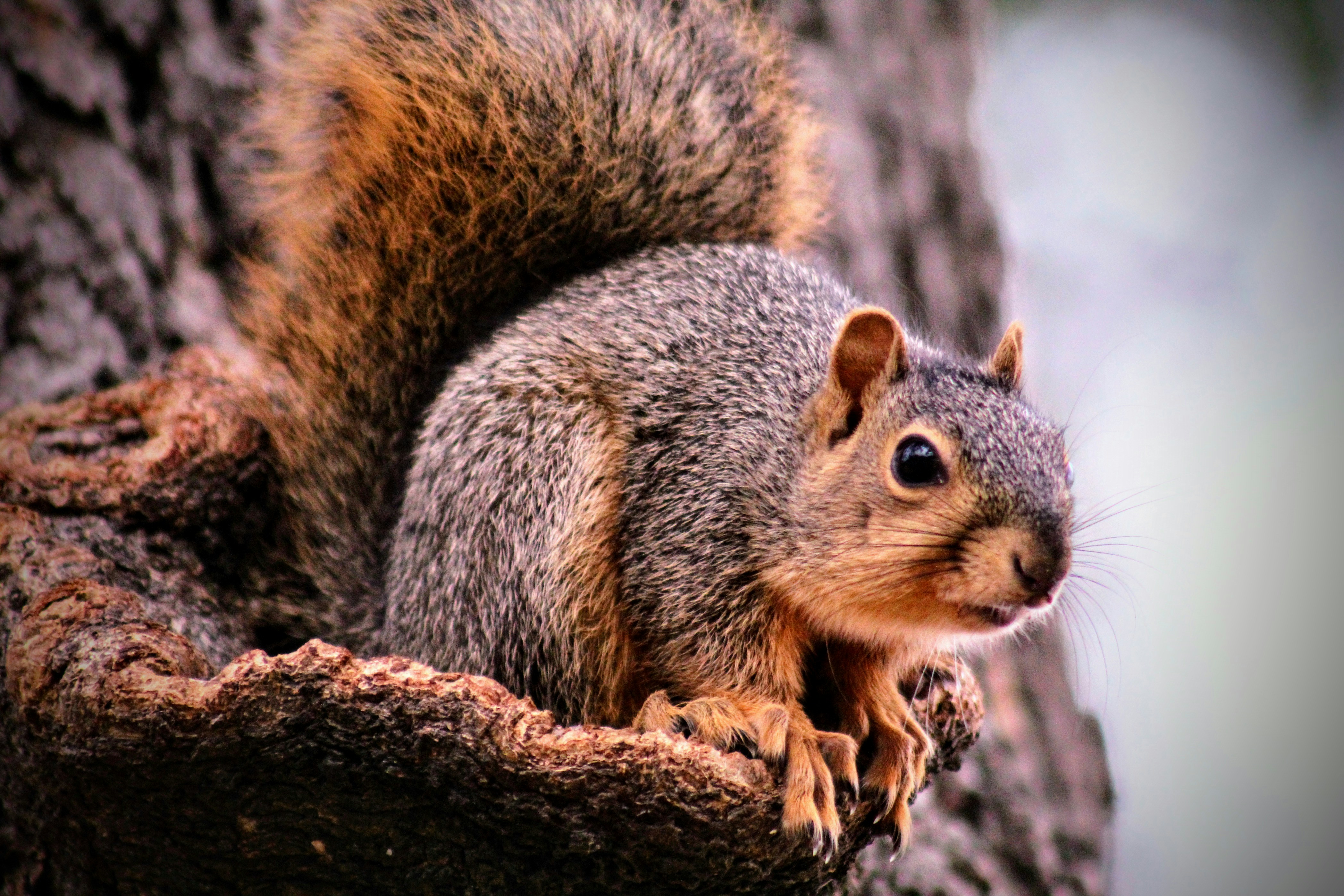 Photo by lucassullivan07