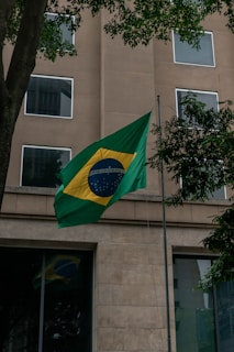 a flag on a pole