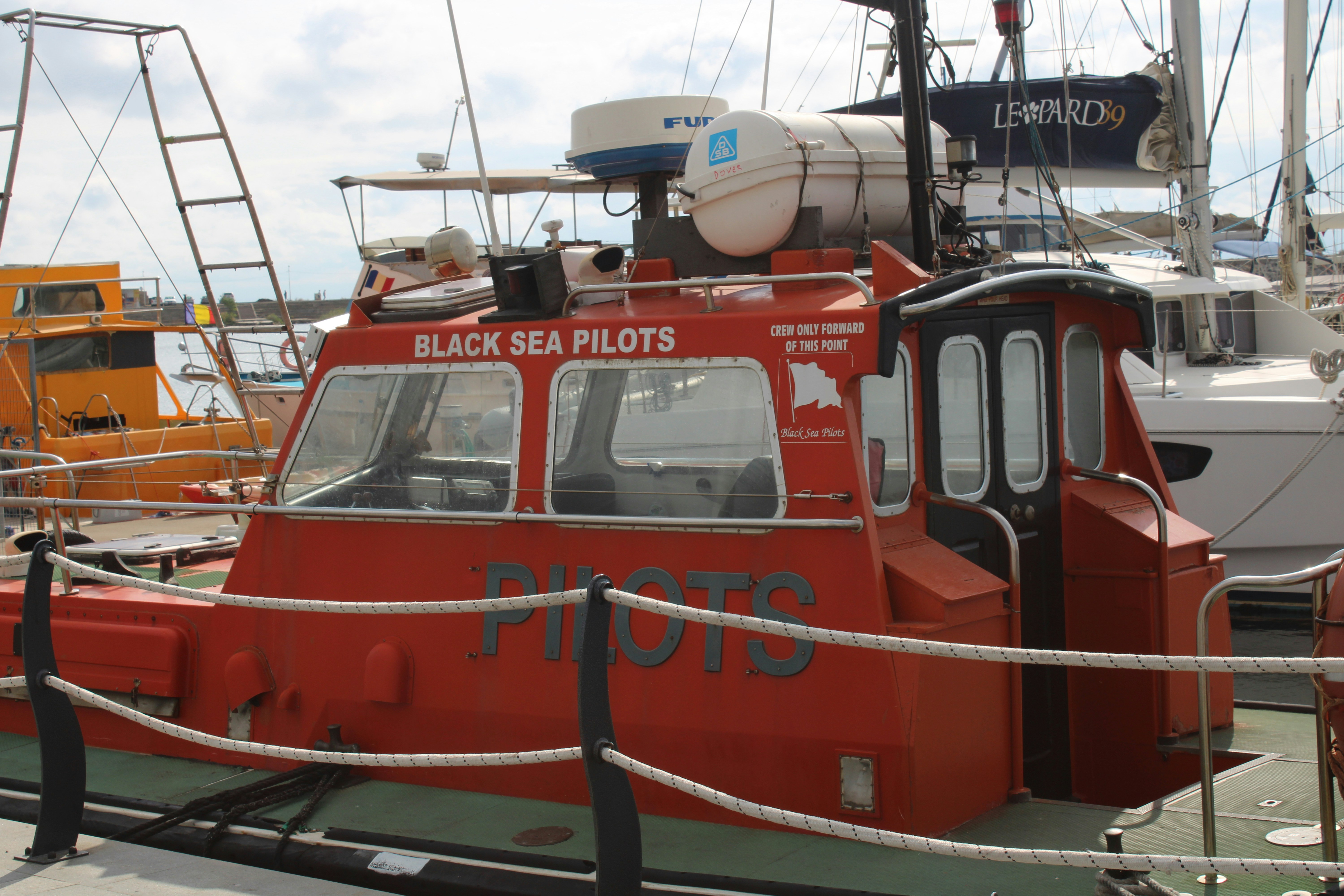 Photo by thorai9akira