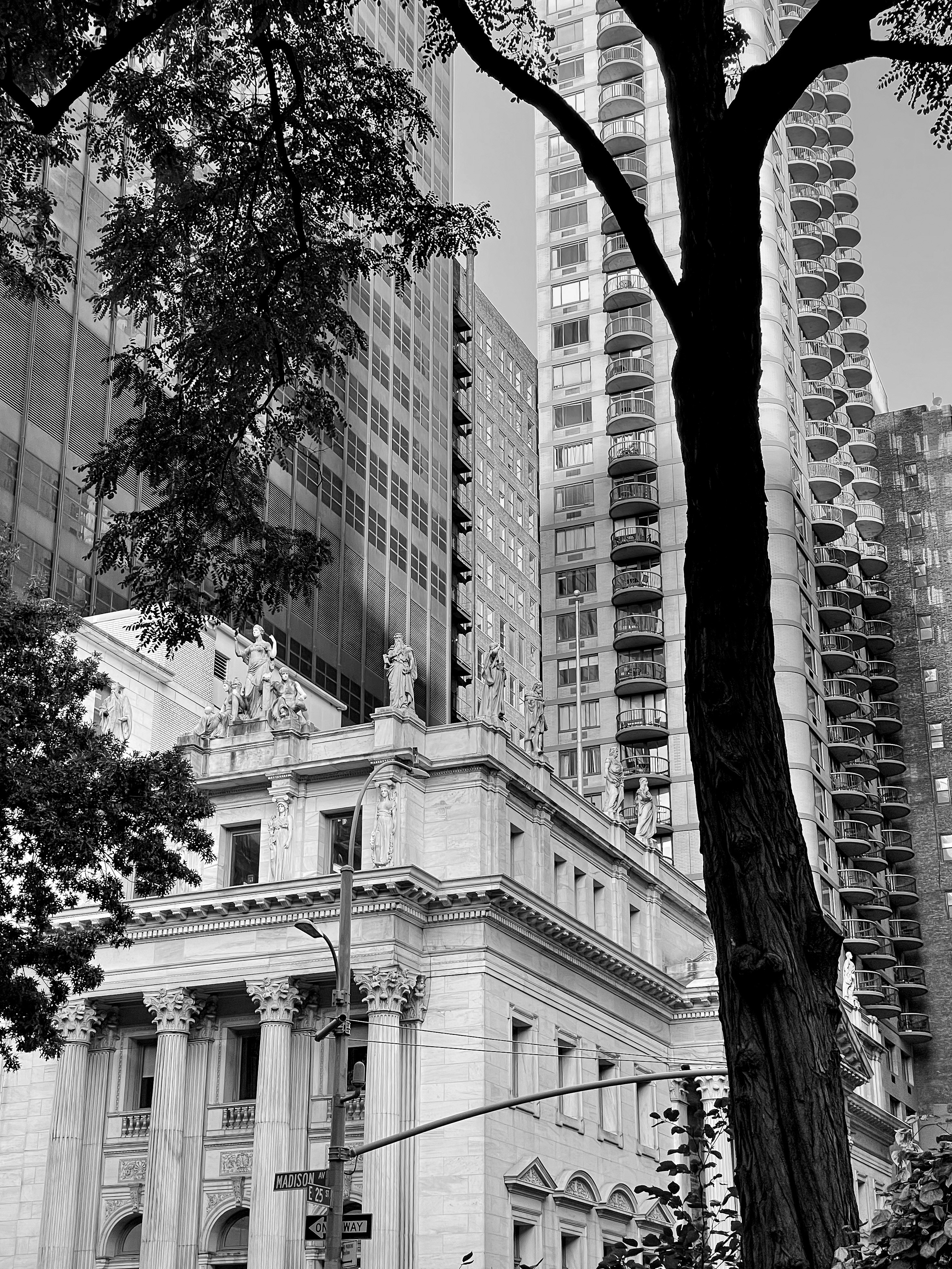 Photo by carissachan