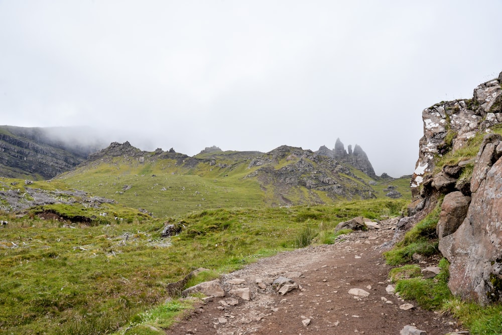 Un camino de tierra en una zona cubierta de hierba