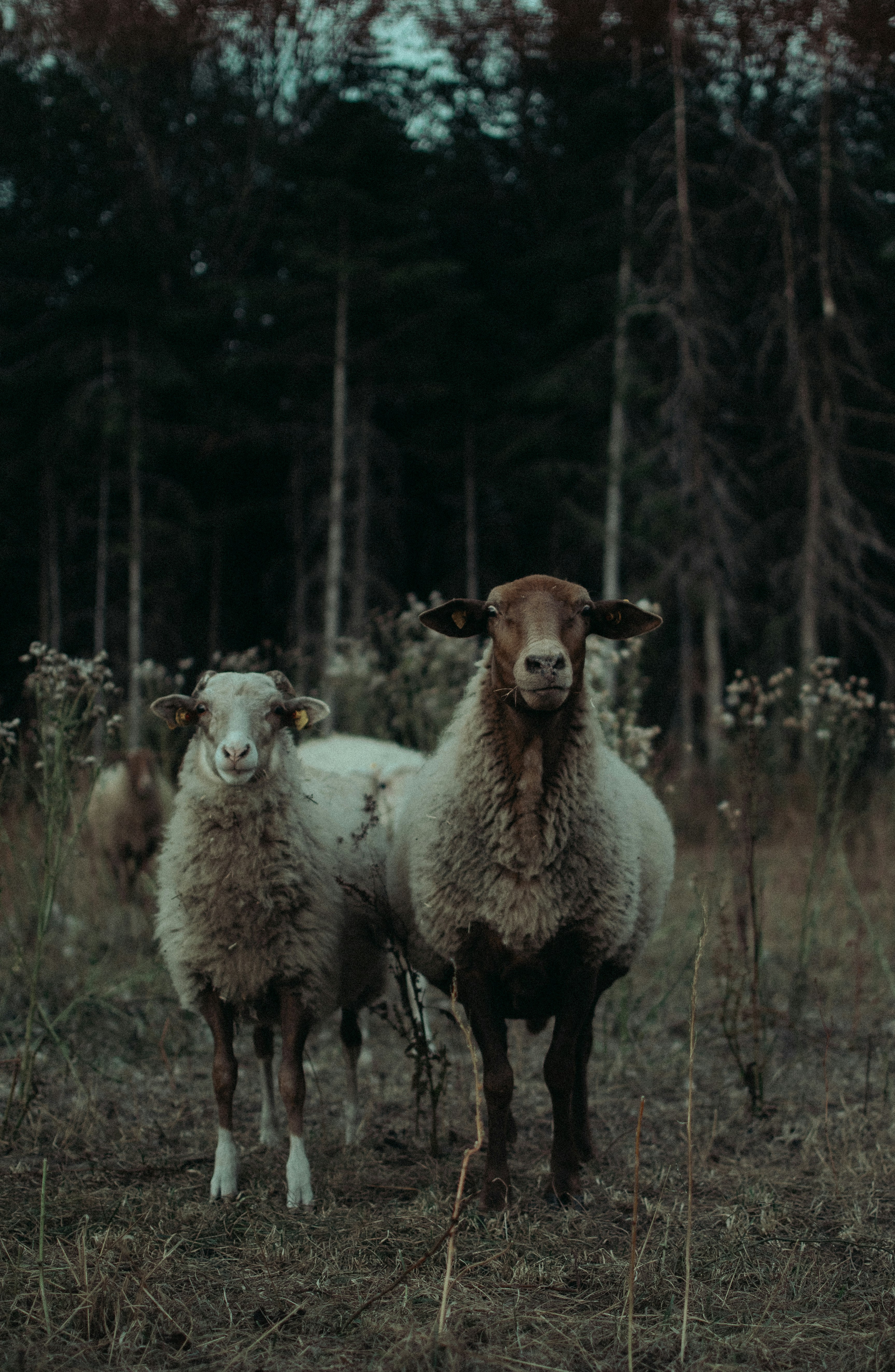 Photo by annaacurcan