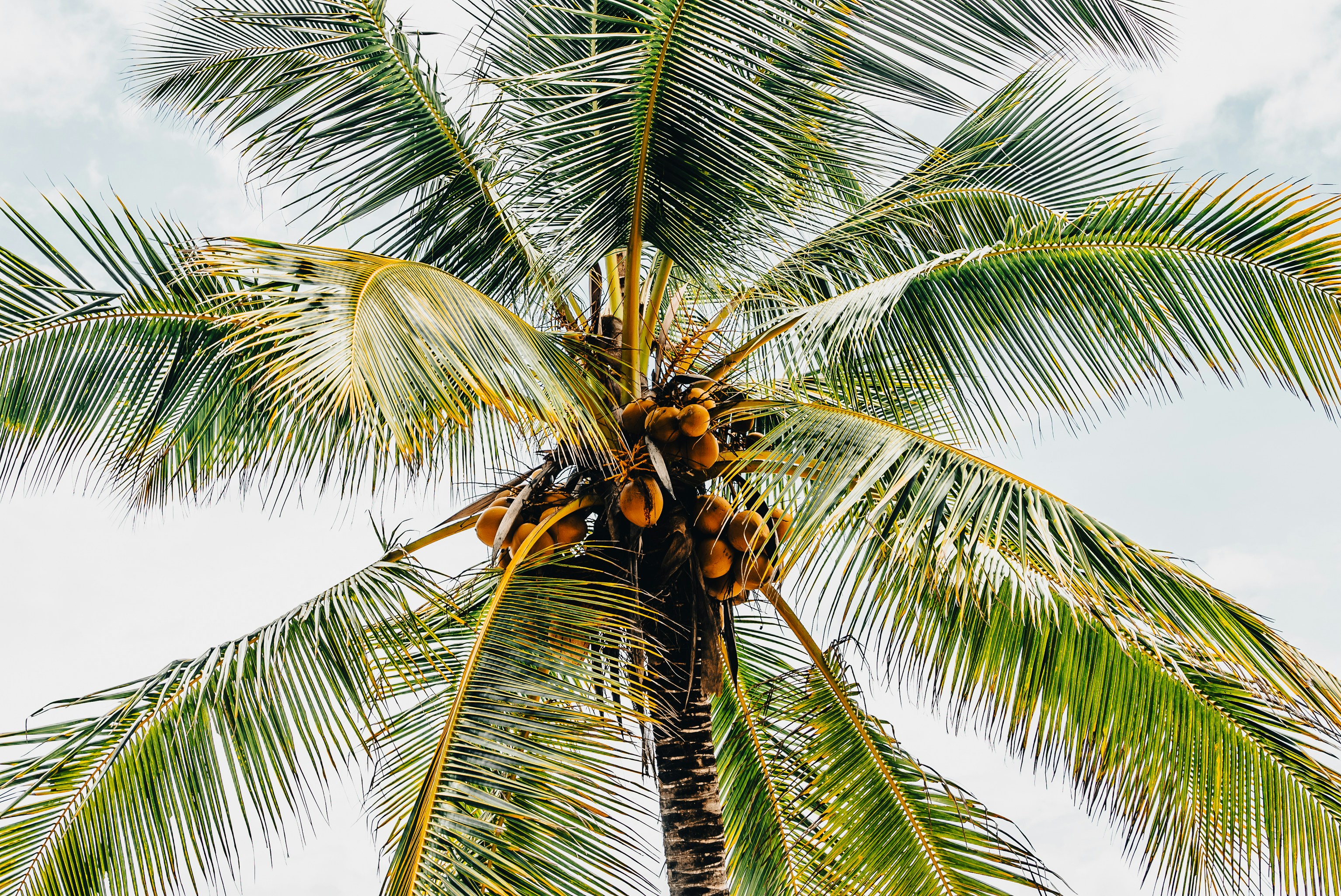 Photo by visionstreamproductions