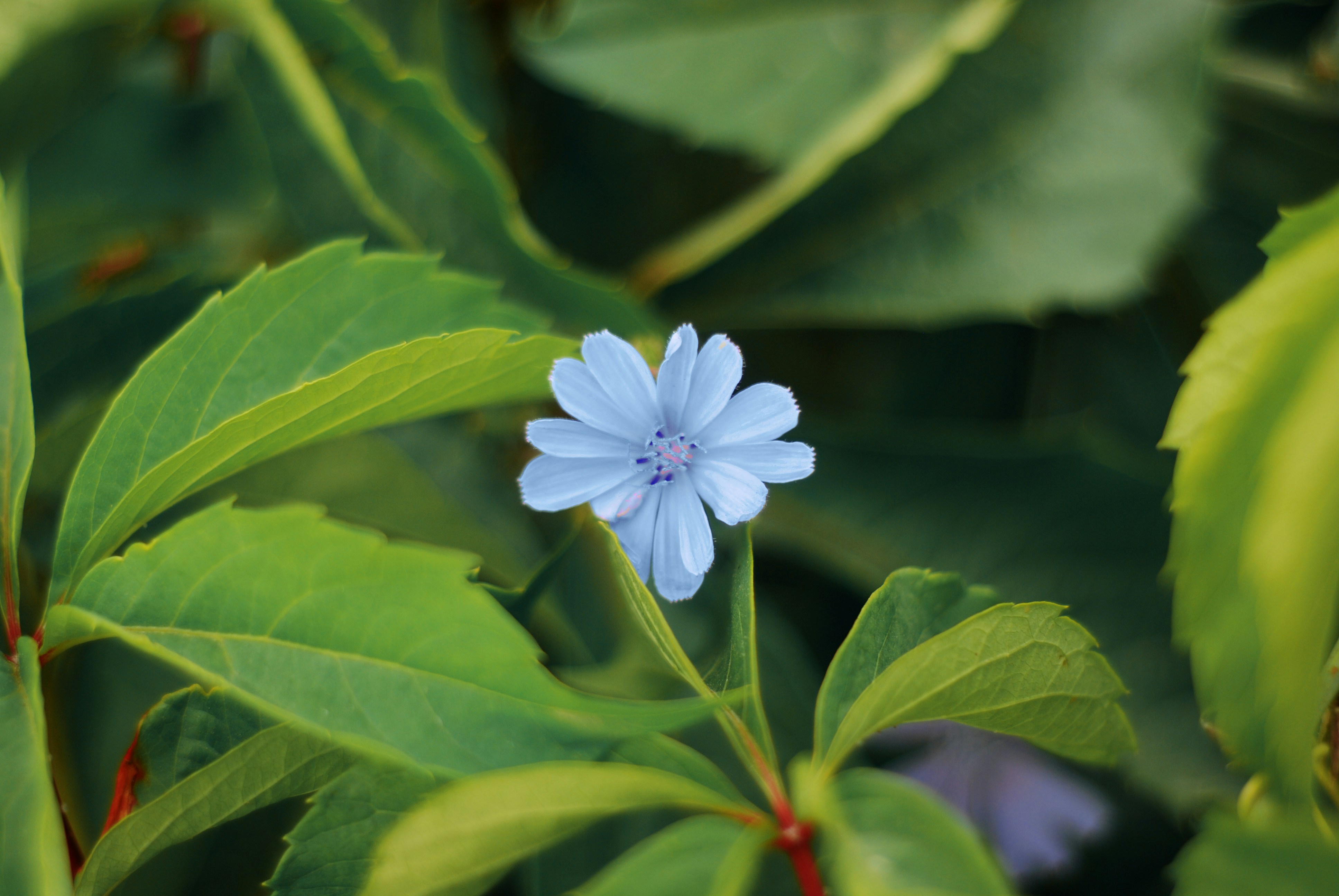 Photo by kovalskihelga