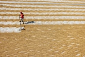 A person is carefully spreading grain with a tool on large, even rows of golden grains drying in the sun. The rows are aligned neatly across a flat surface, creating a pattern of alternating colors.