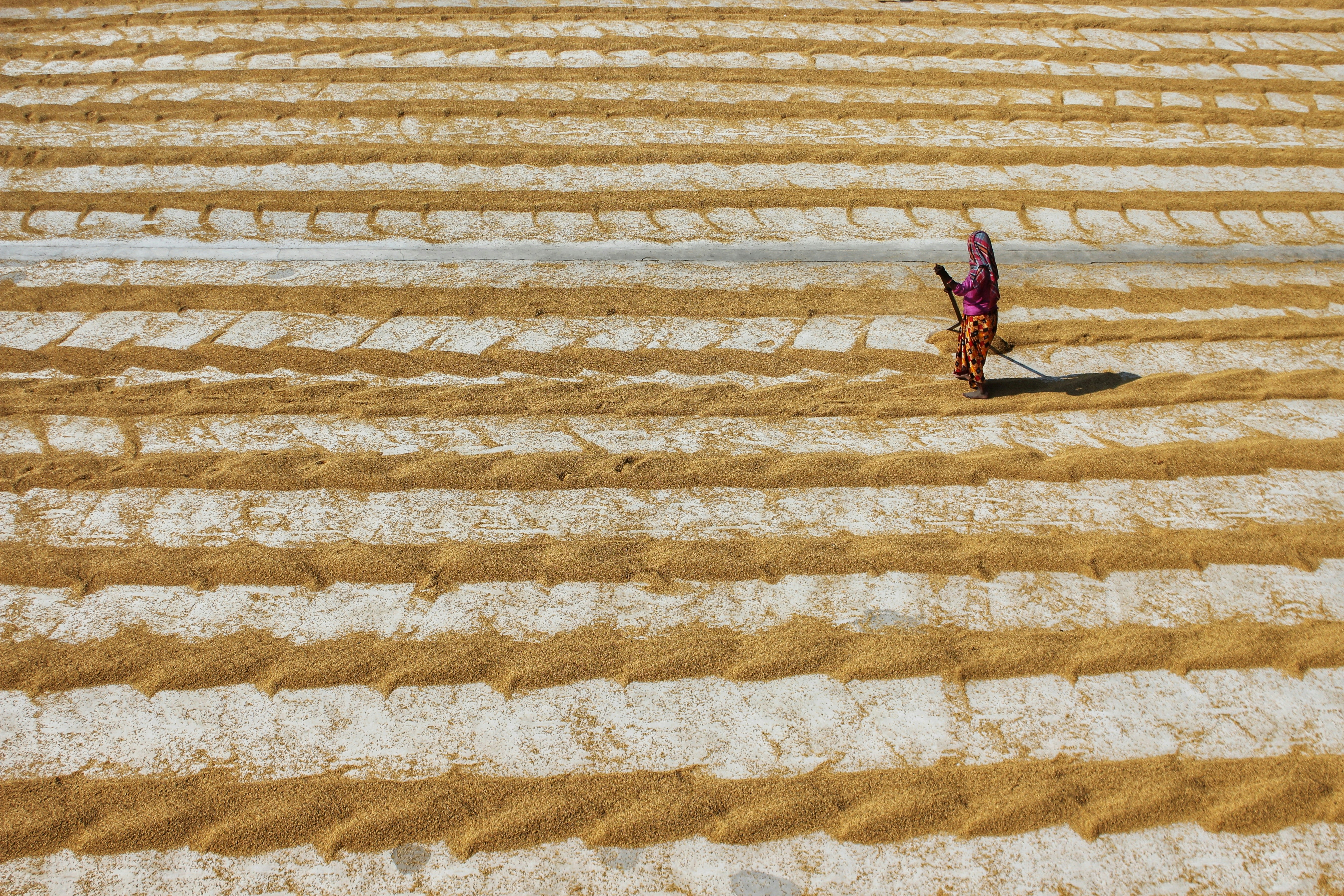 Photo by dibakar16roy