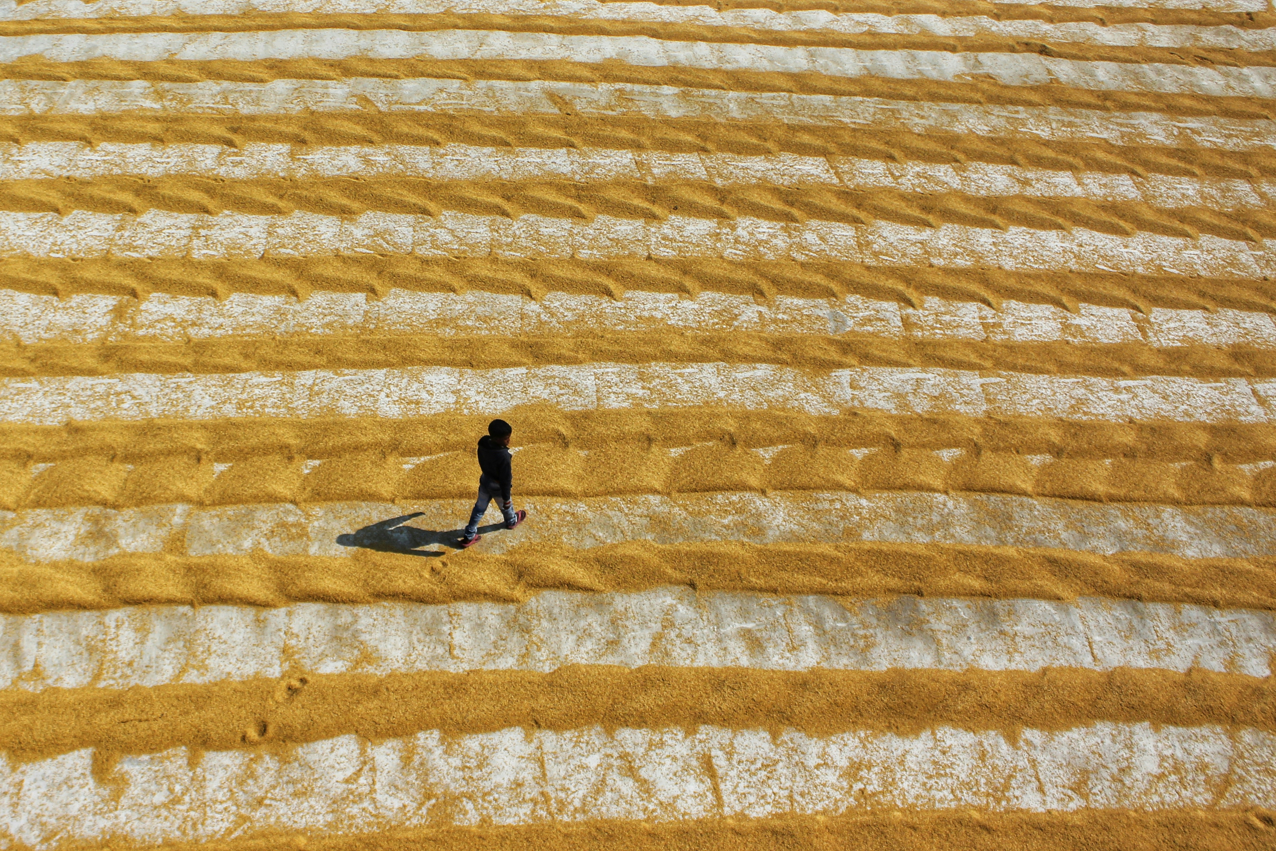 Photo by dibakar16roy