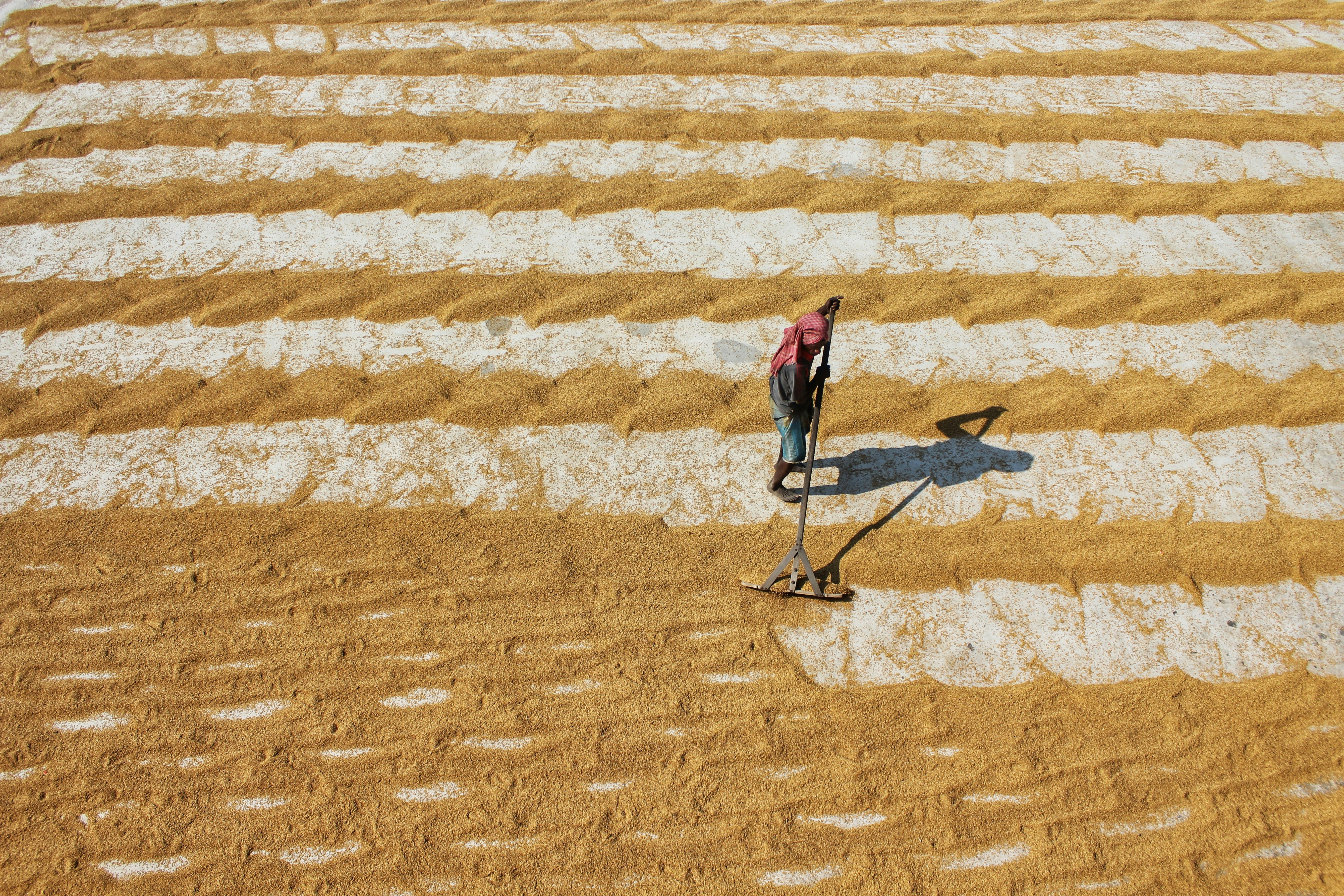 Photo by dibakar16roy