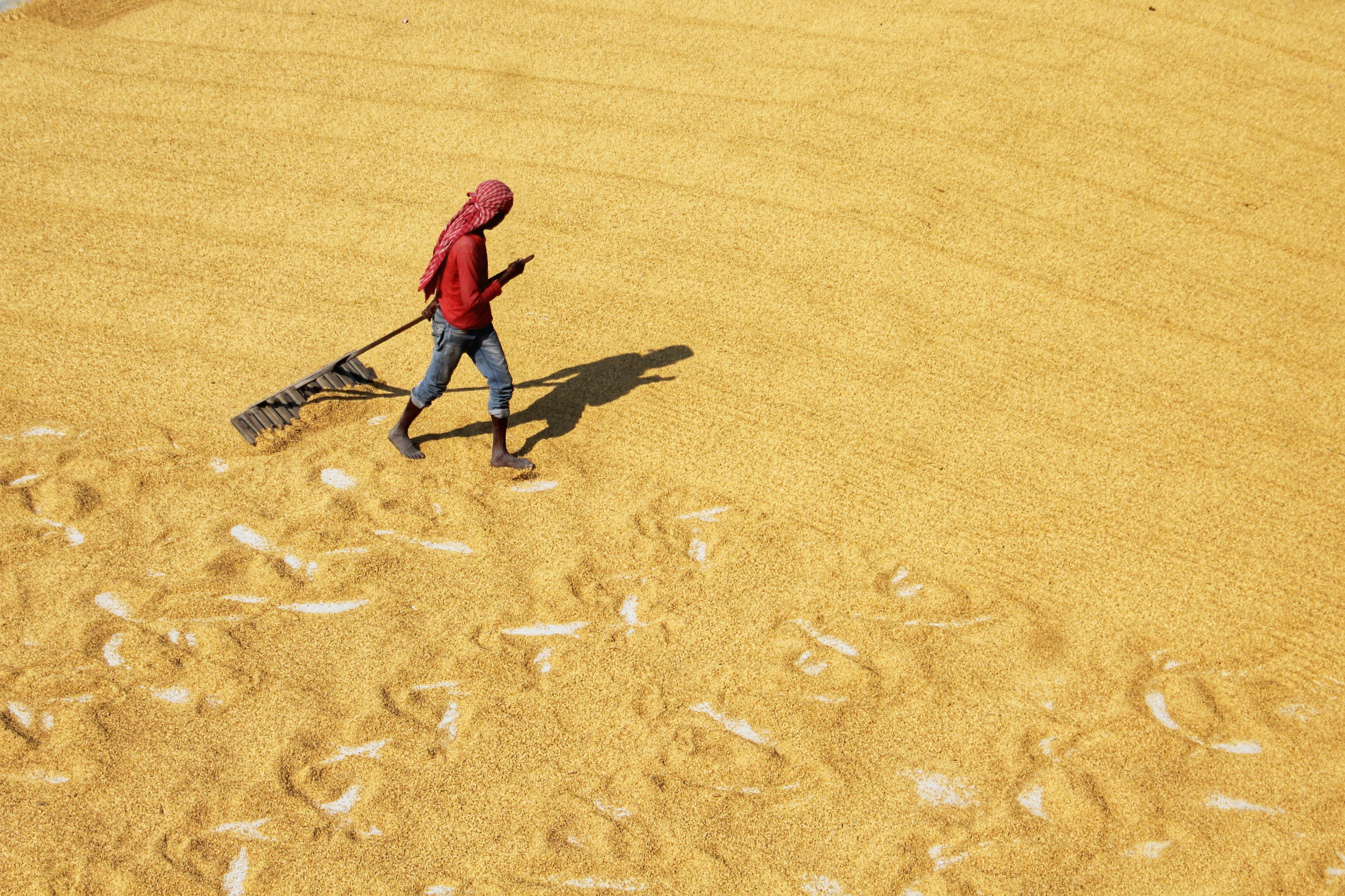 Photo by dibakar16roy