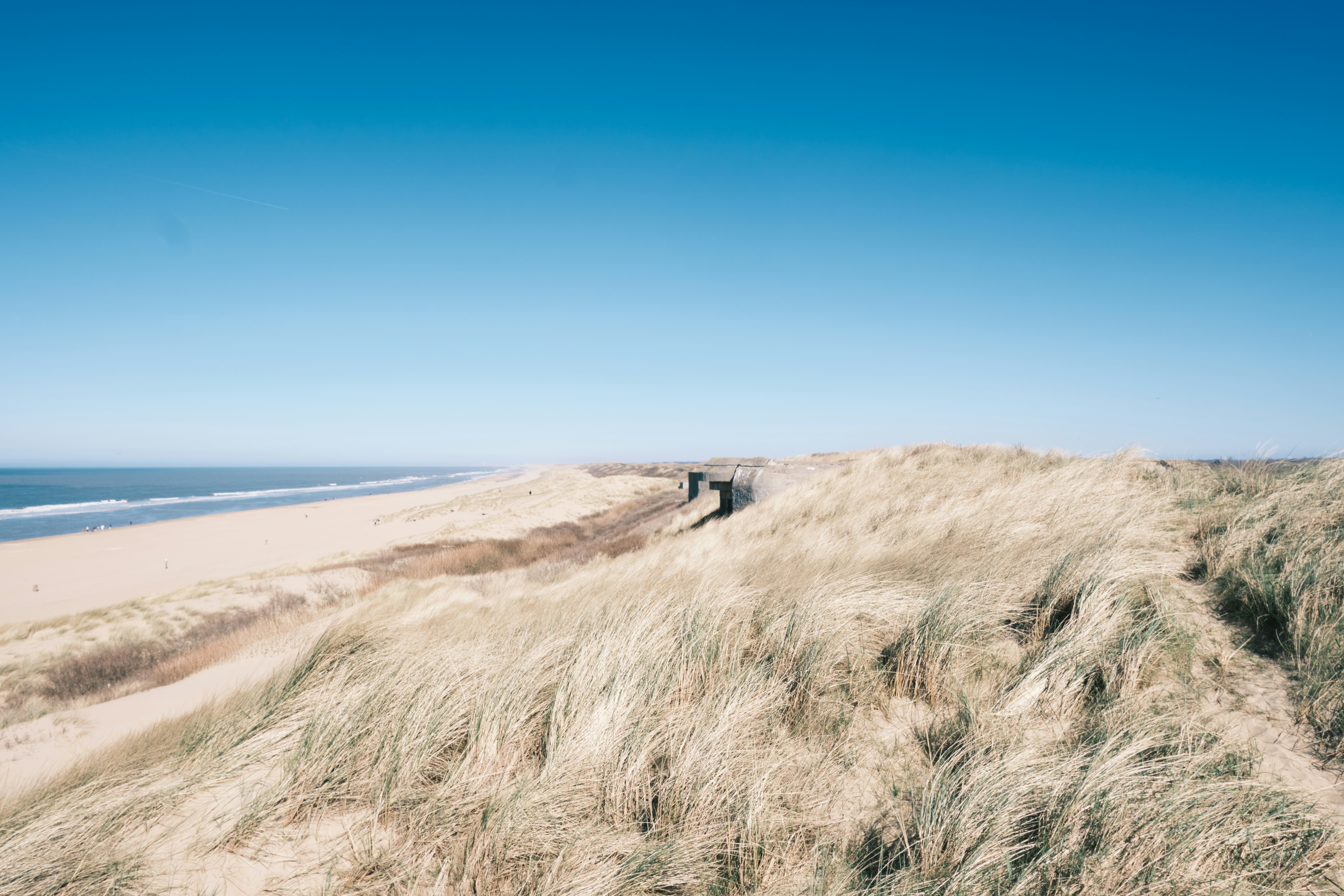 Photo by tintinburgh