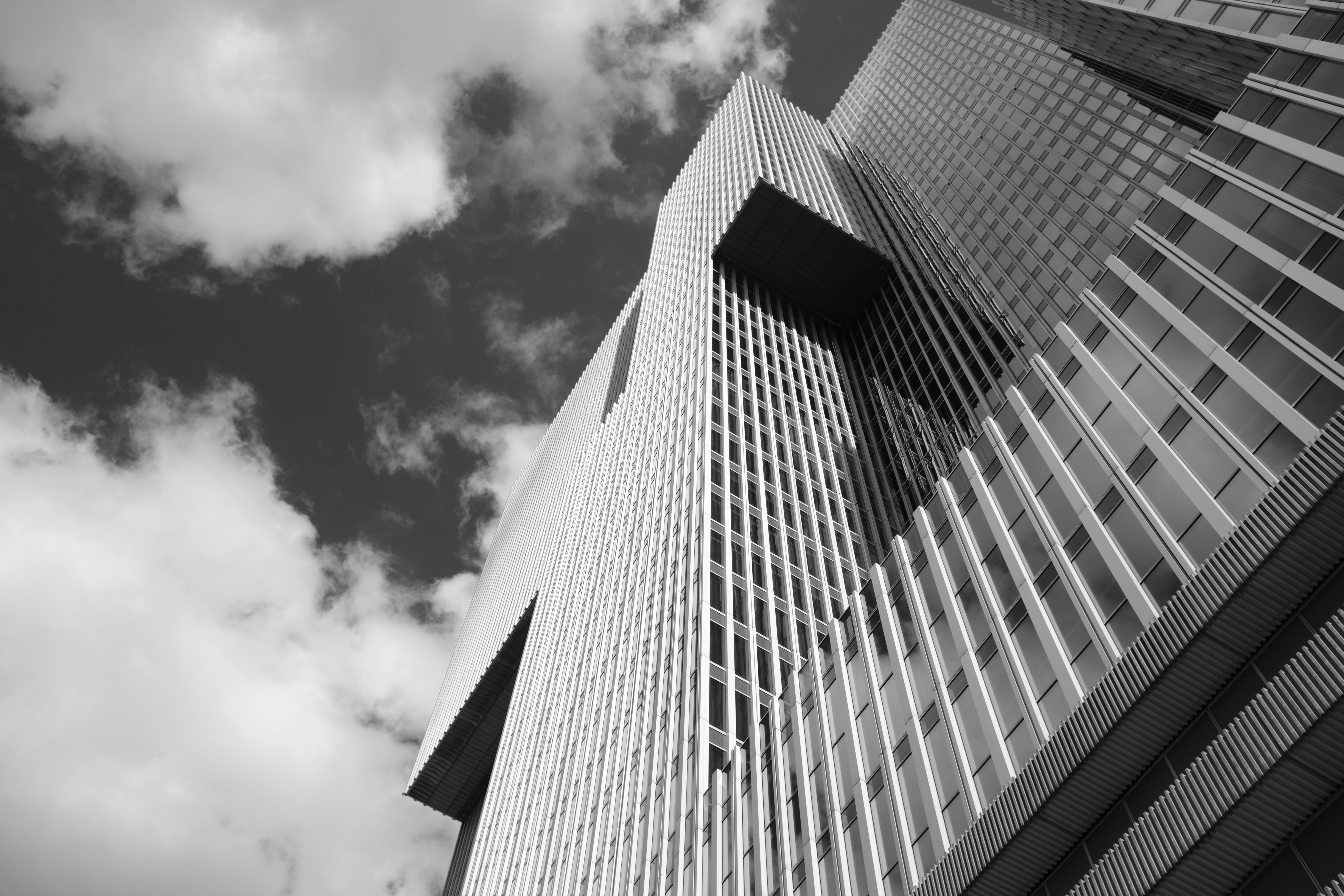 Photo by tintinburgh