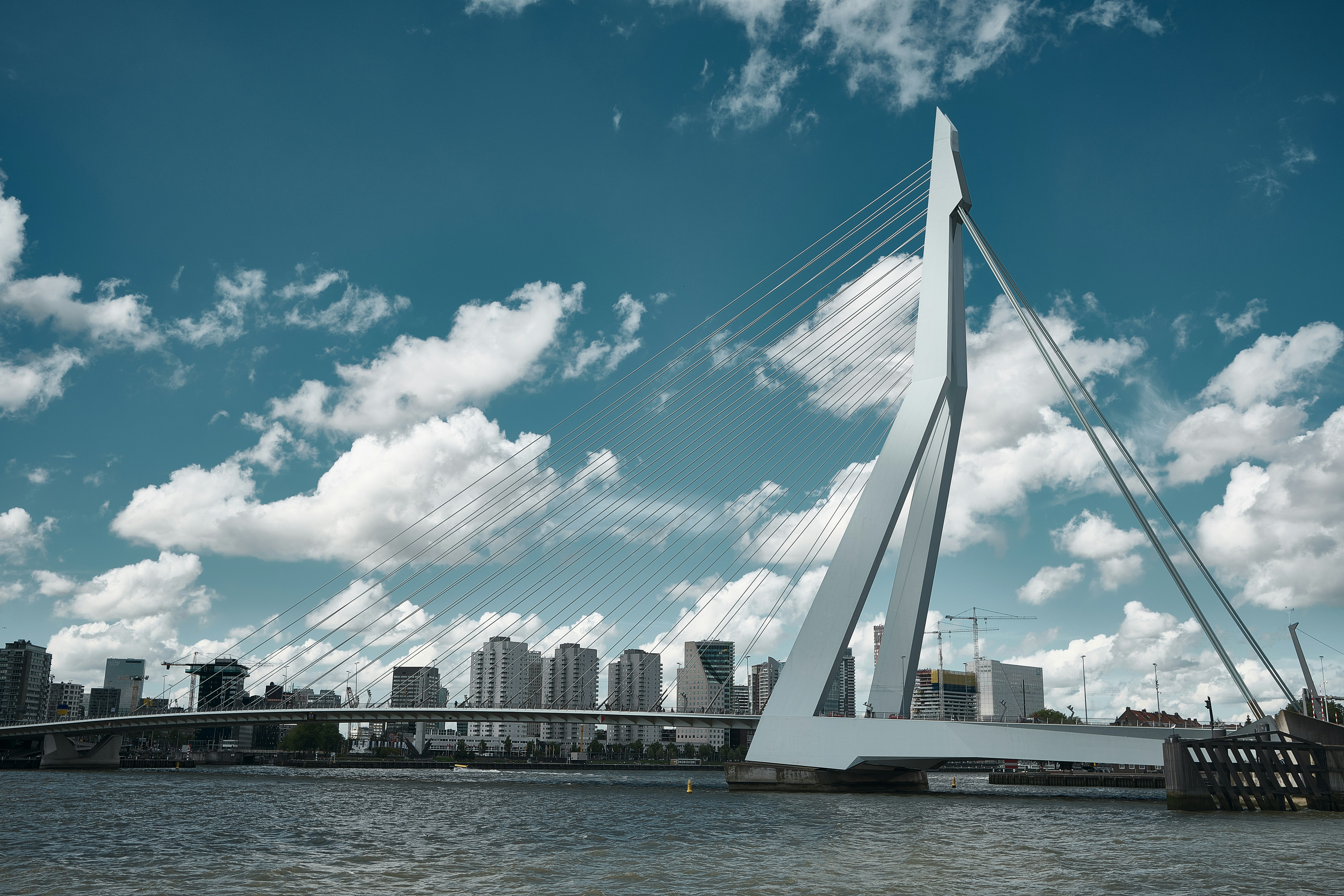 Photo by tintinburgh