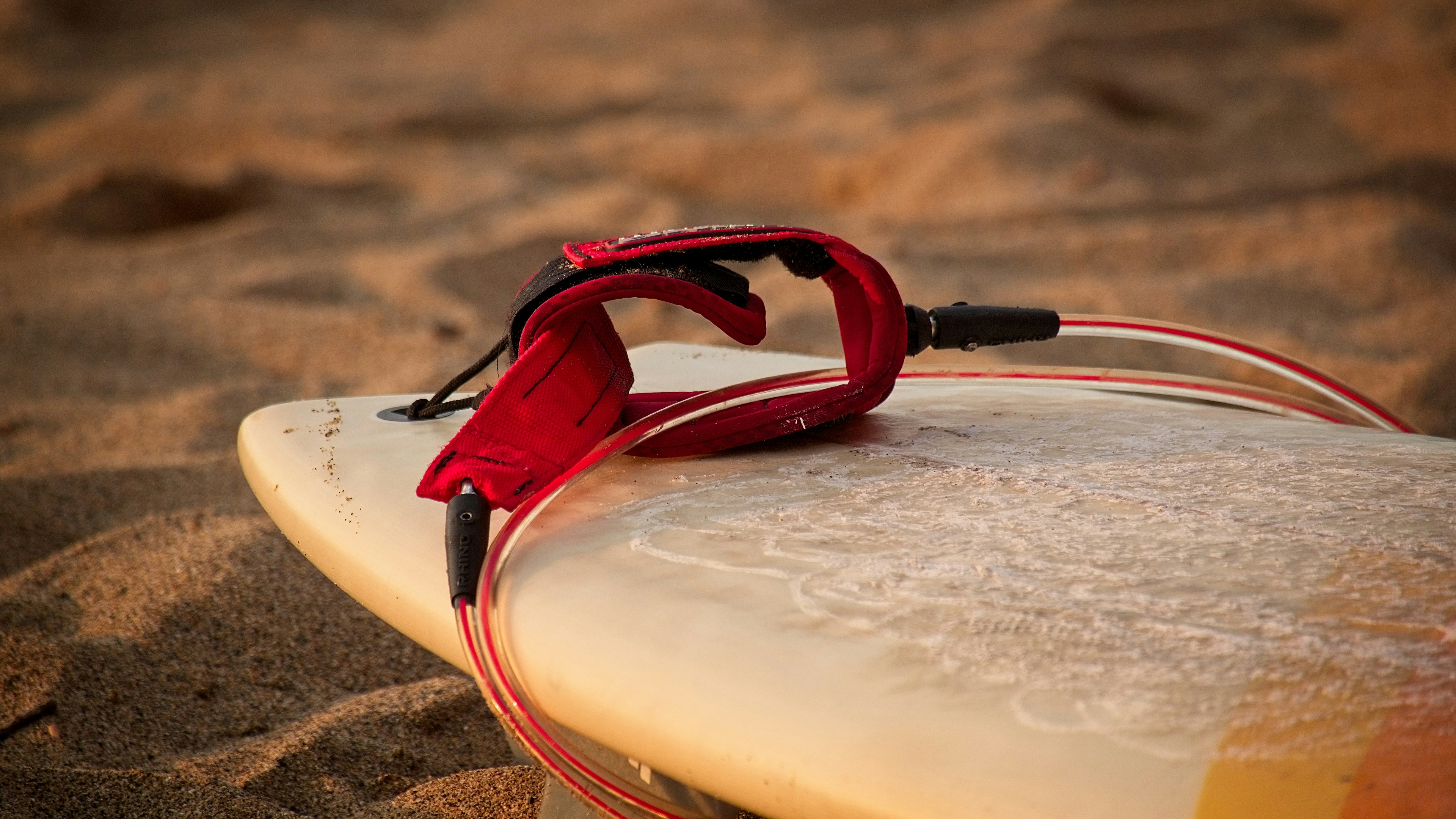 Tabla de surf decorativa