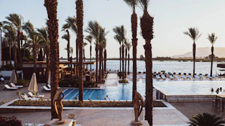 a pool with palm trees and a beach in the background