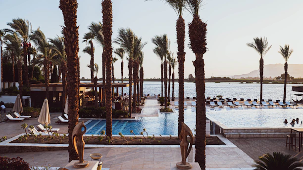 a pool with palm trees and a beach in the background
