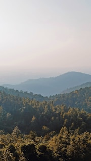 Scenic view of dense forests in Bastar region with morning sunlight filtering through.
