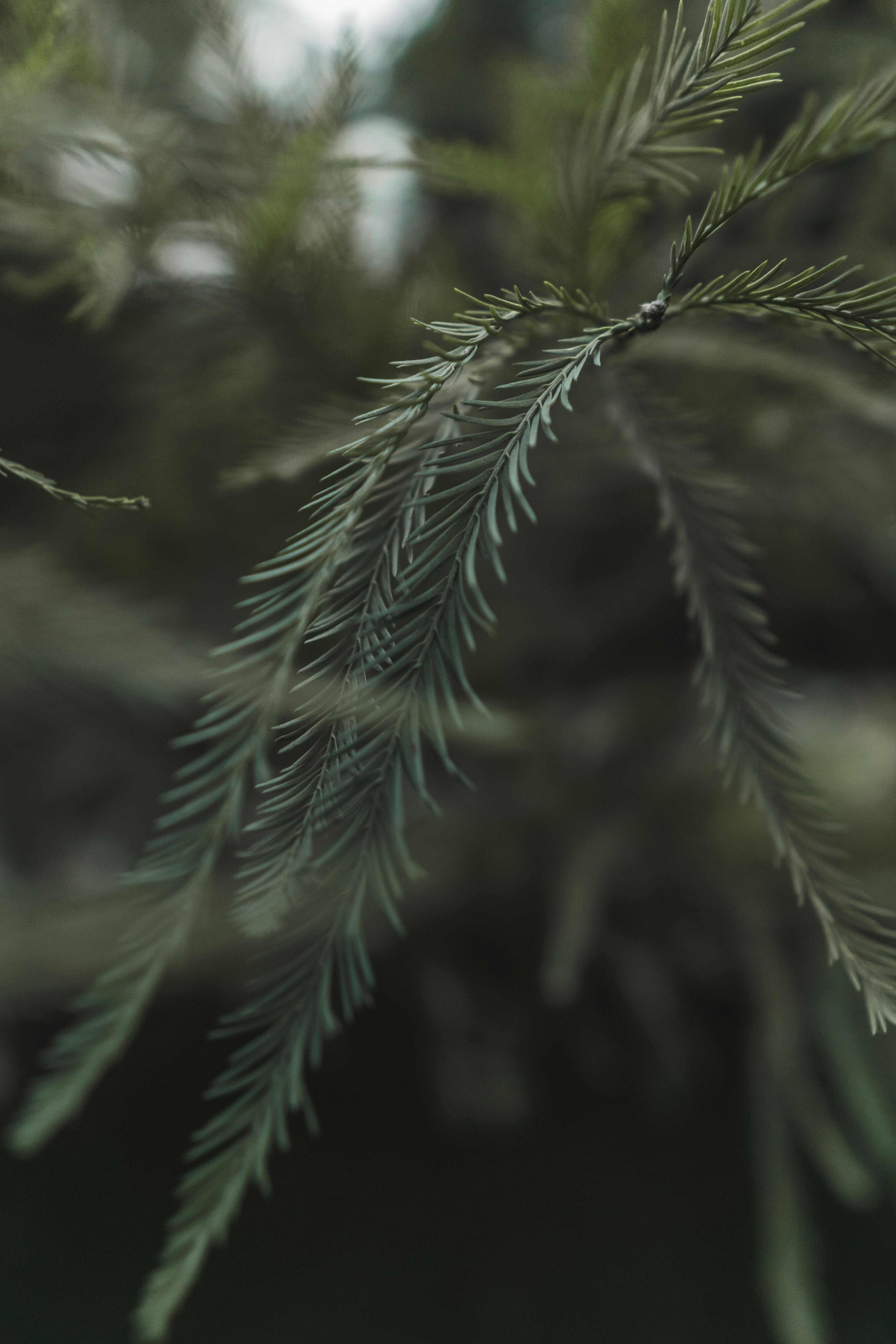 Photo by androwv
