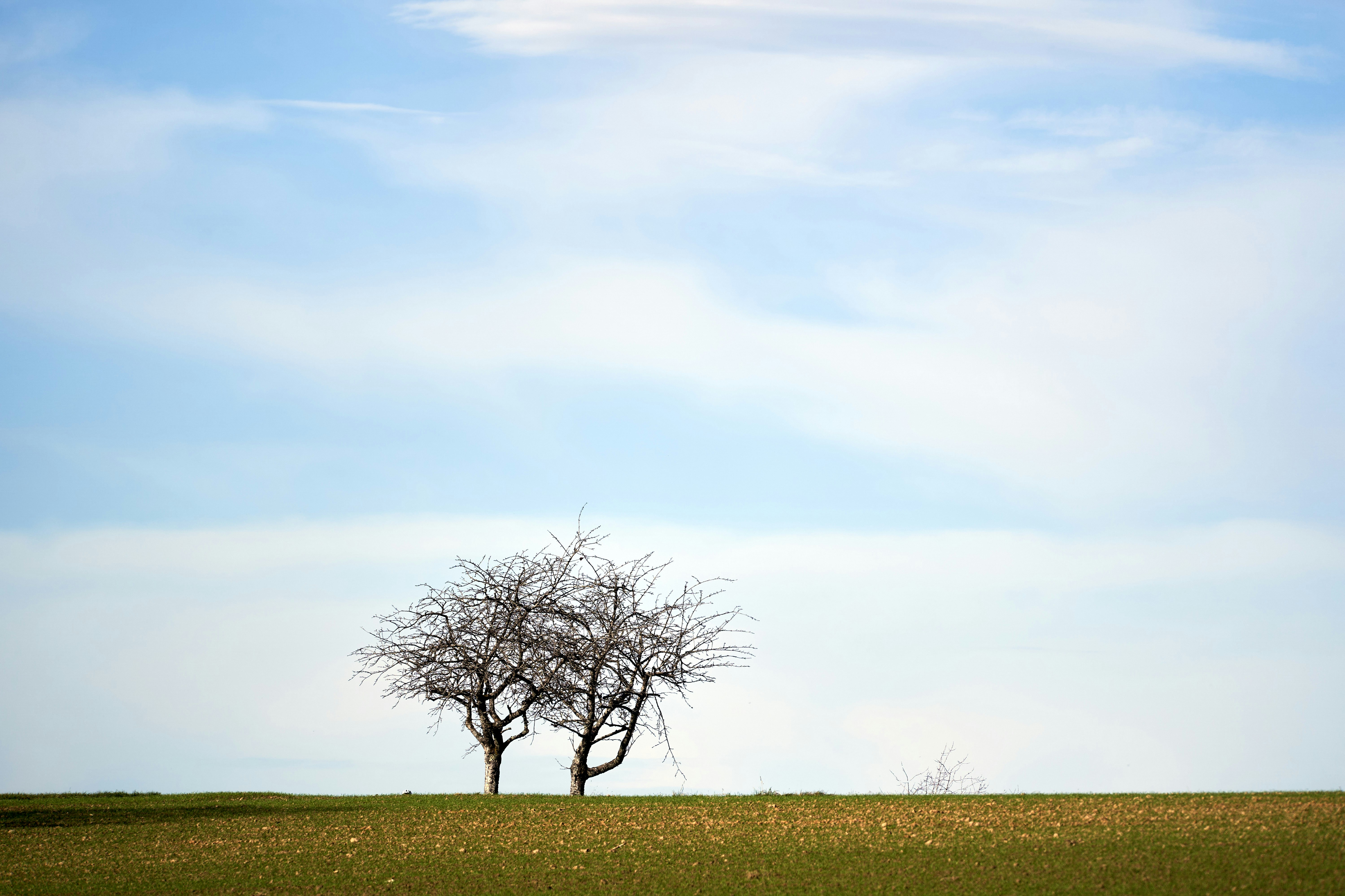 Photo by wolfgang_hasselmann