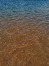 Clear water with visible ripples and a gradient transition from sandy brown at the shoreline to deeper blue in the distance, capturing sunlight reflections.