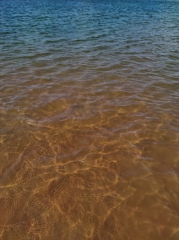 Clear water with visible ripples and a gradient transition from sandy brown at the shoreline to deeper blue in the distance, capturing sunlight reflections.