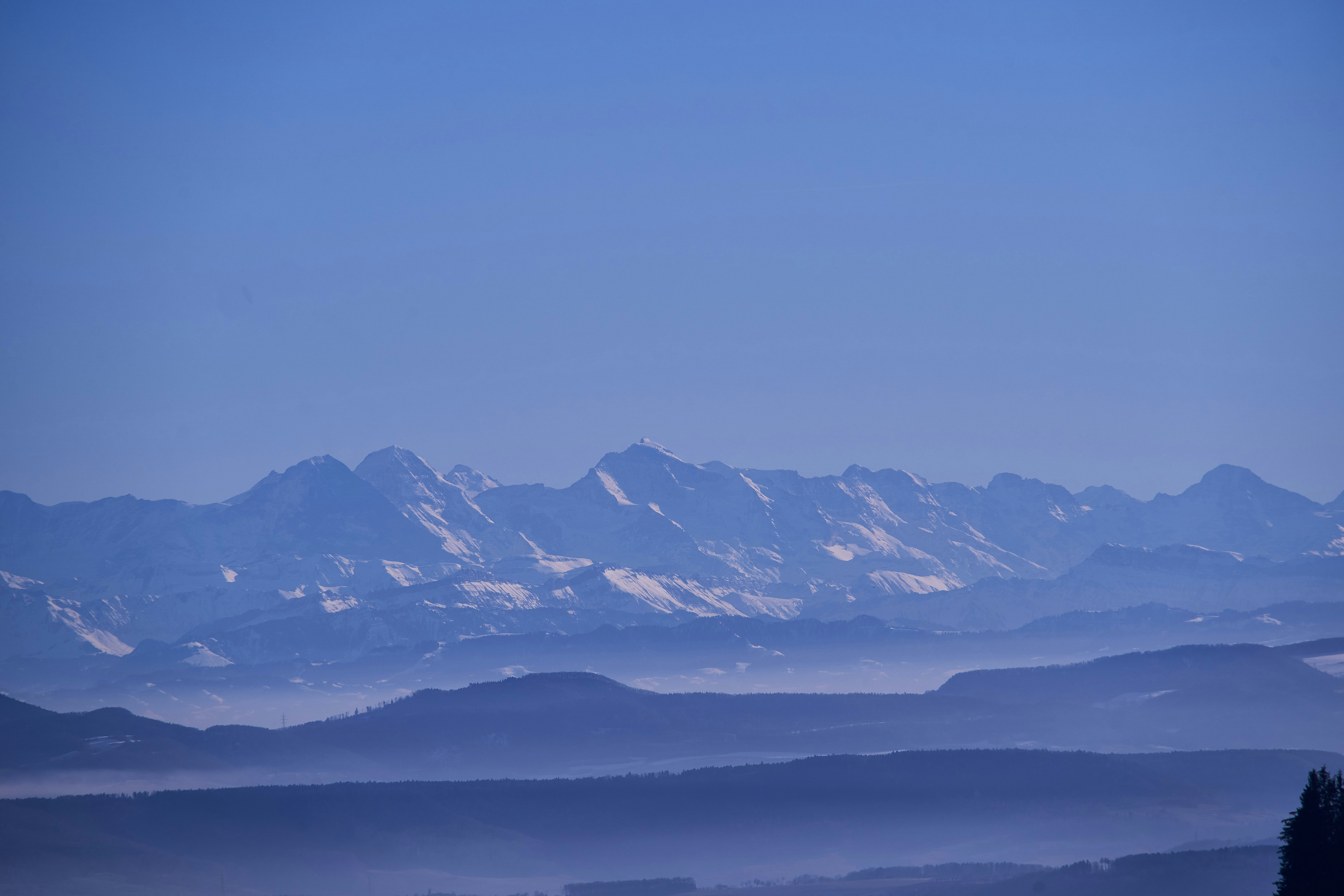 Photo by wolfgang_hasselmann