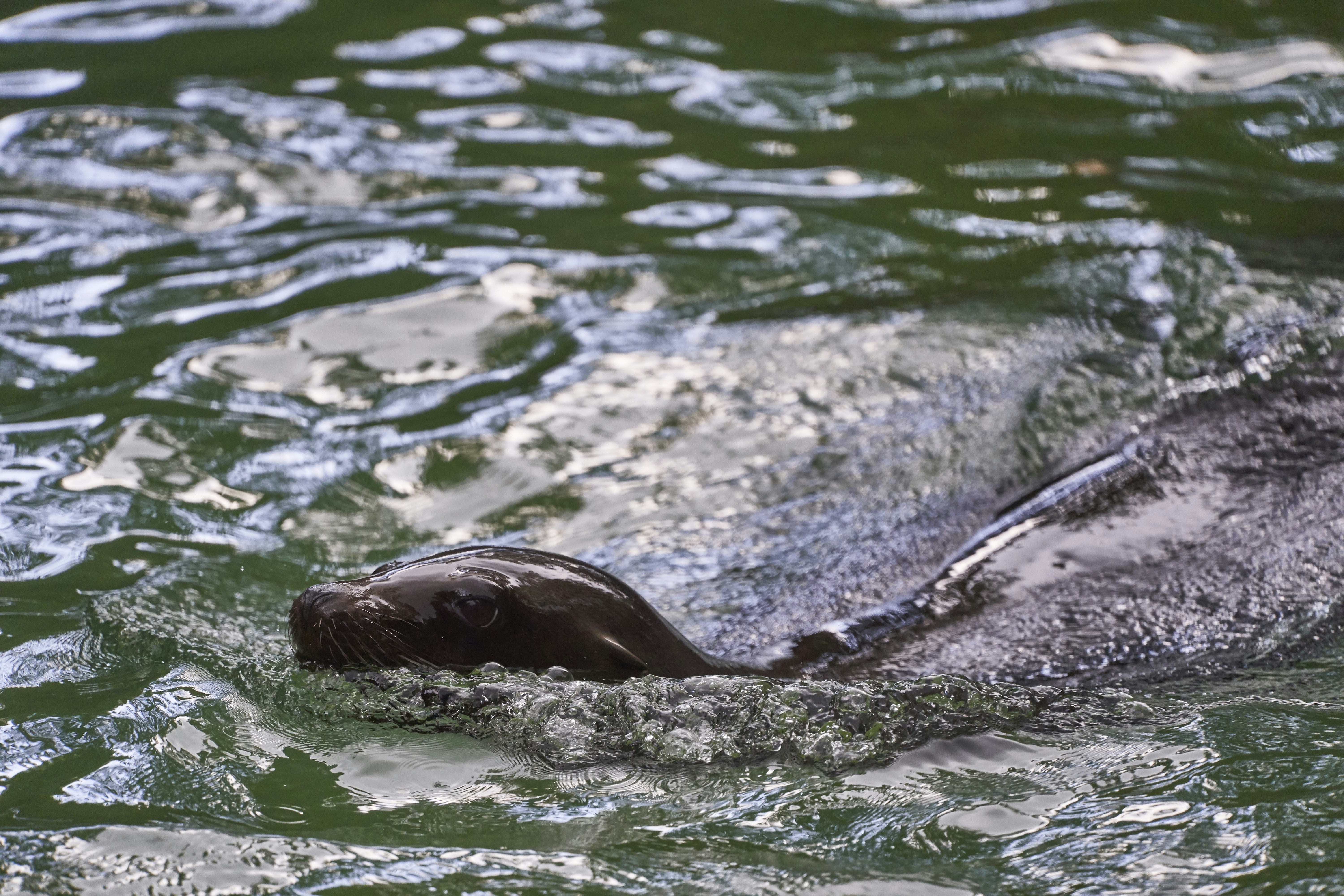 Photo by wolfgang_hasselmann