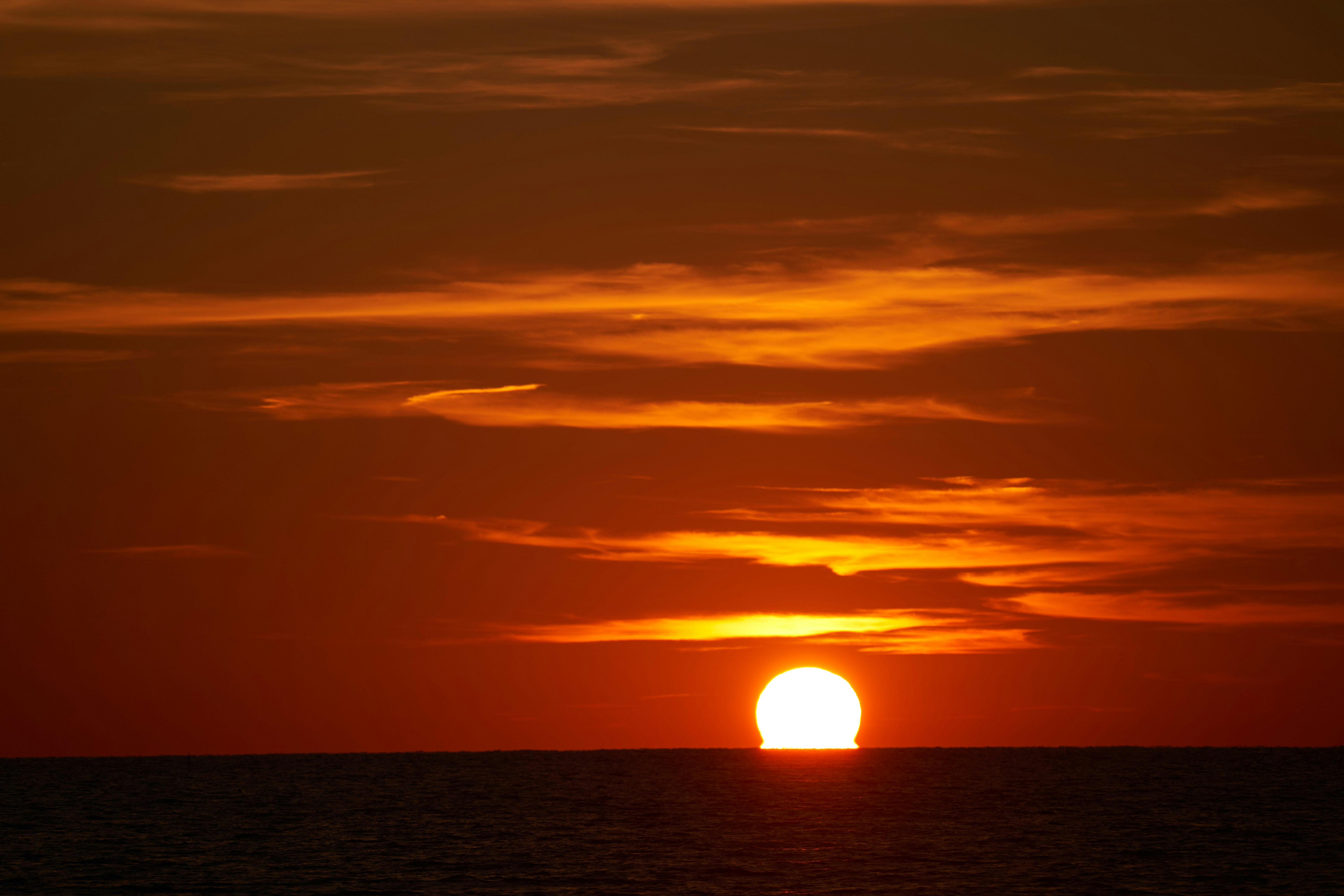 Photo by wolfgang_hasselmann