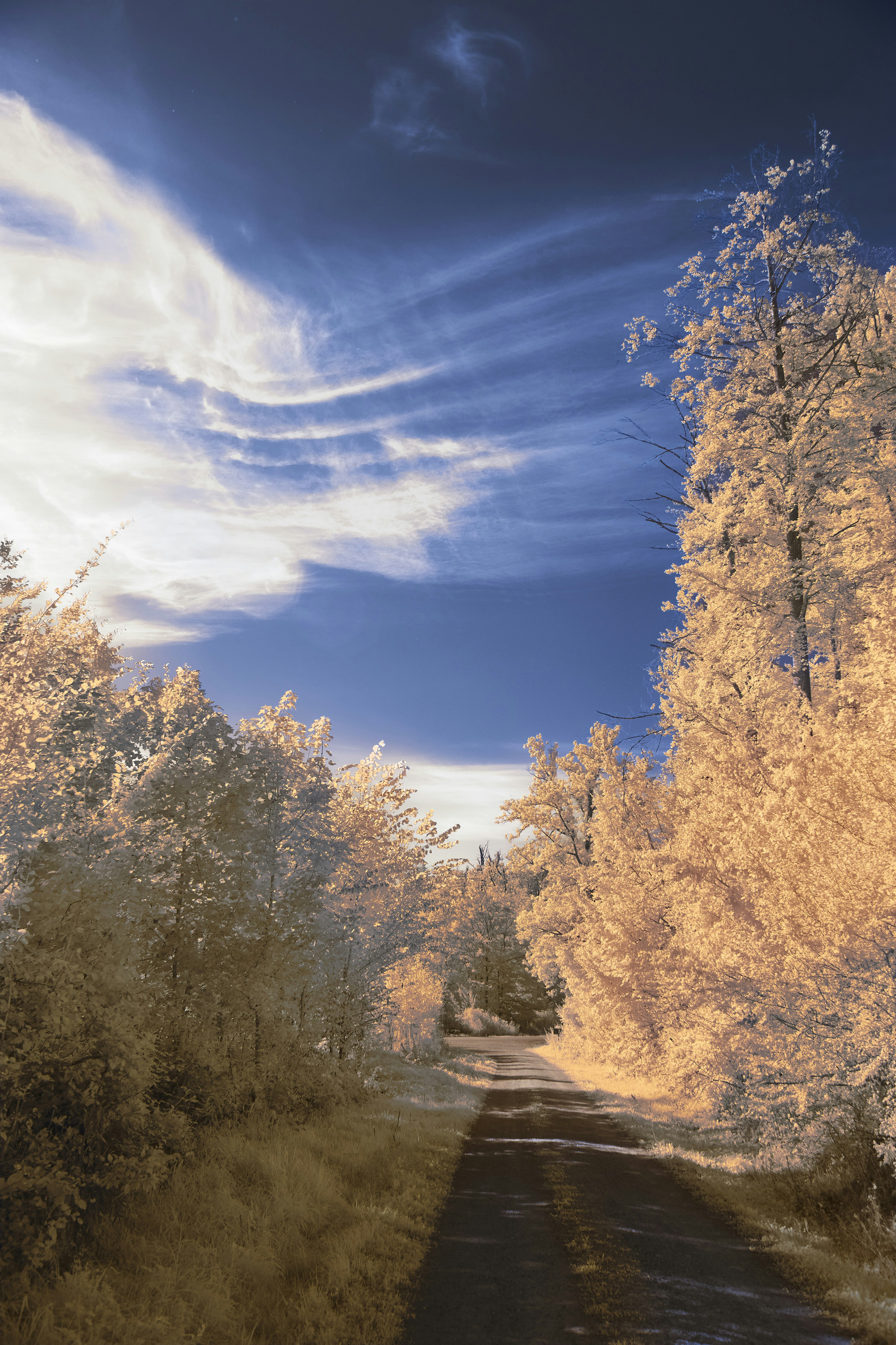 Photo by wolfgang_hasselmann