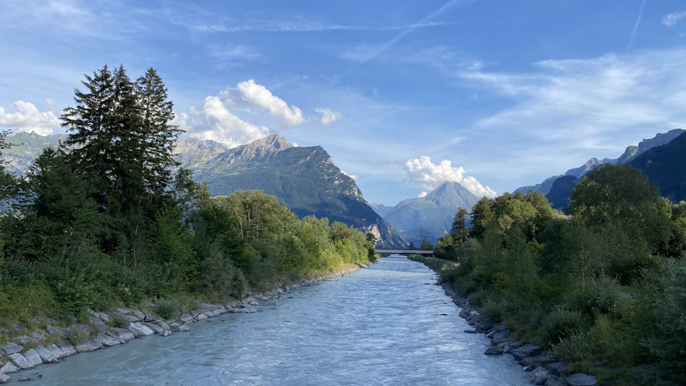 Un fiume che attraversa una foresta