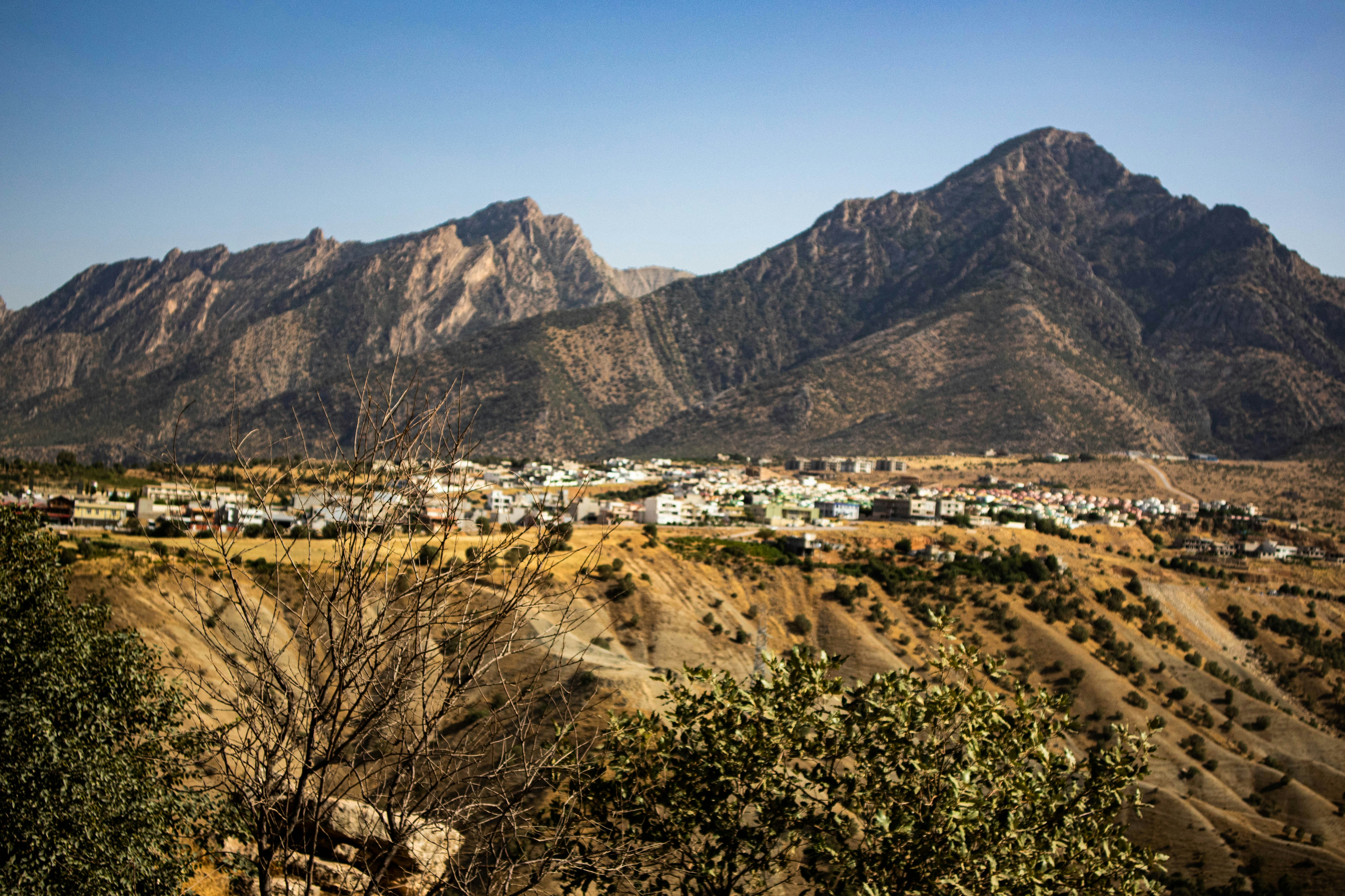 Photo by iraqienkidu